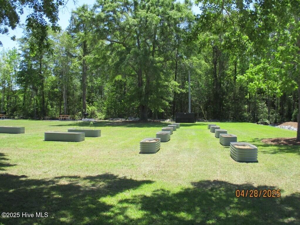 100578291 | Photo 25
