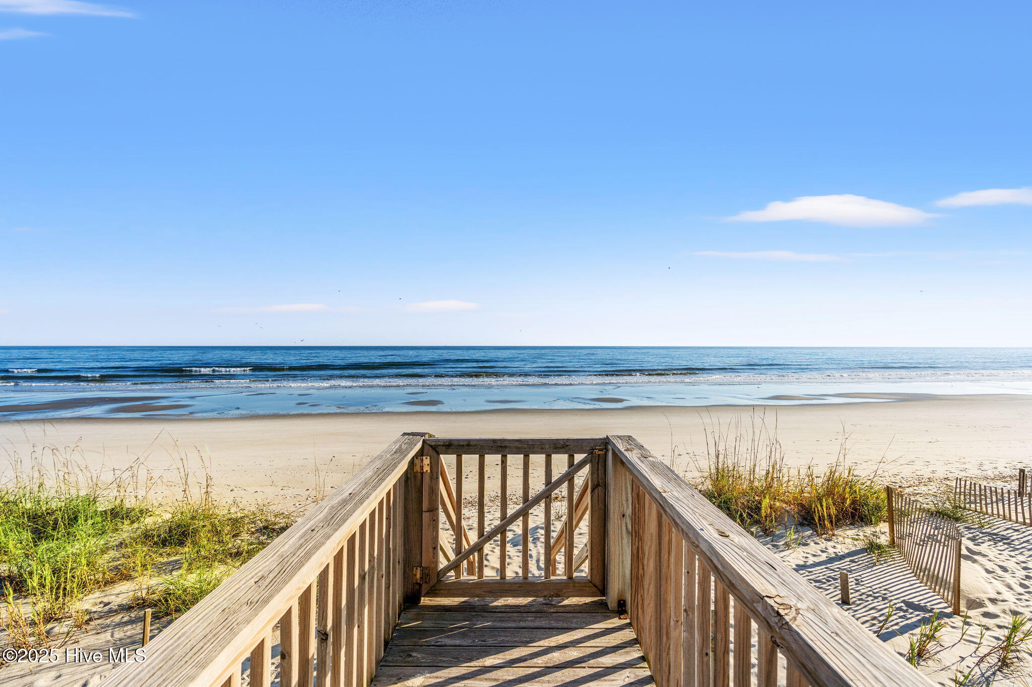 100540283 | Photo 43