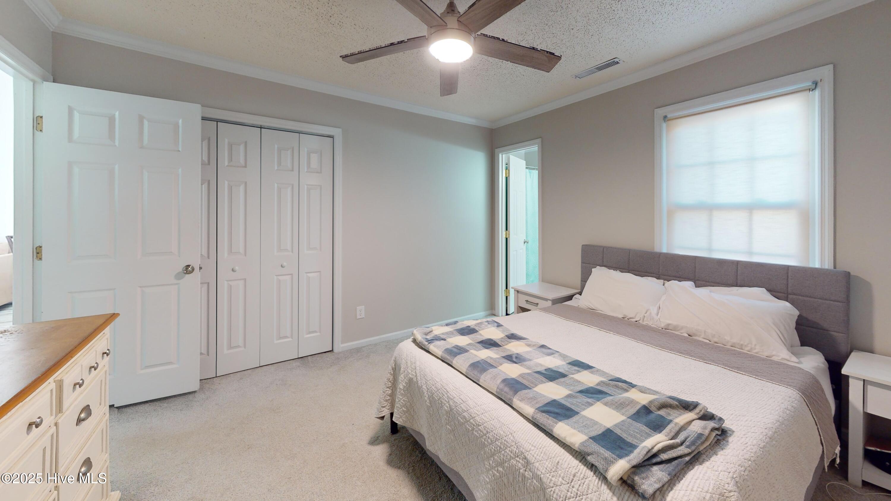 100546181 | Photo 17