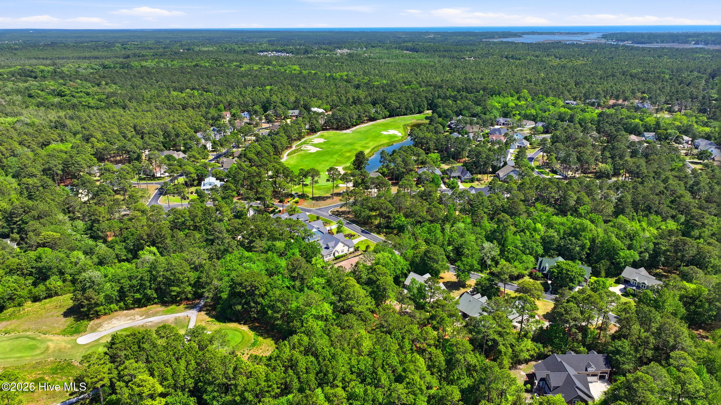 100570003 | Photo 14