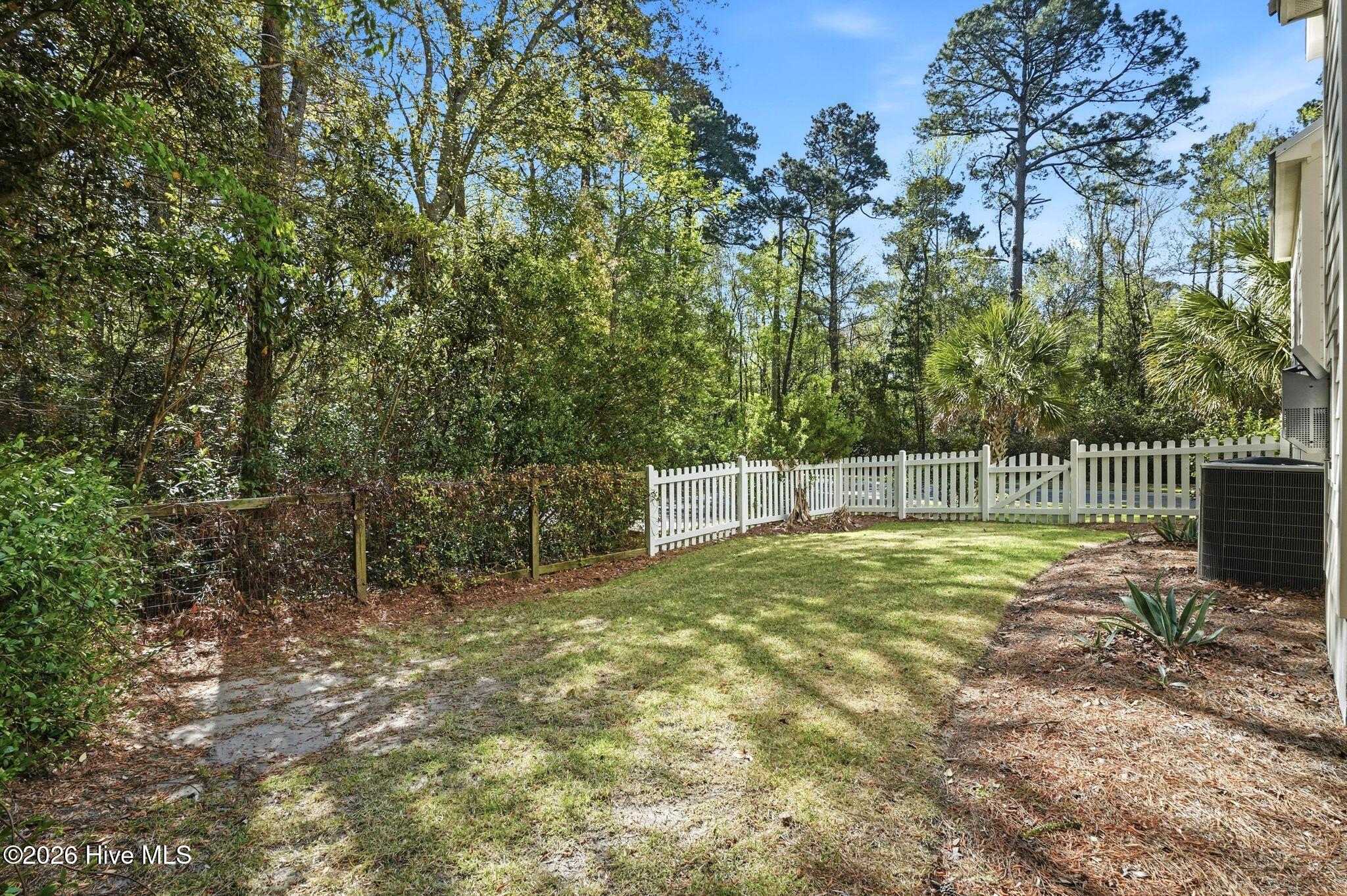 100565220 | Photo 53