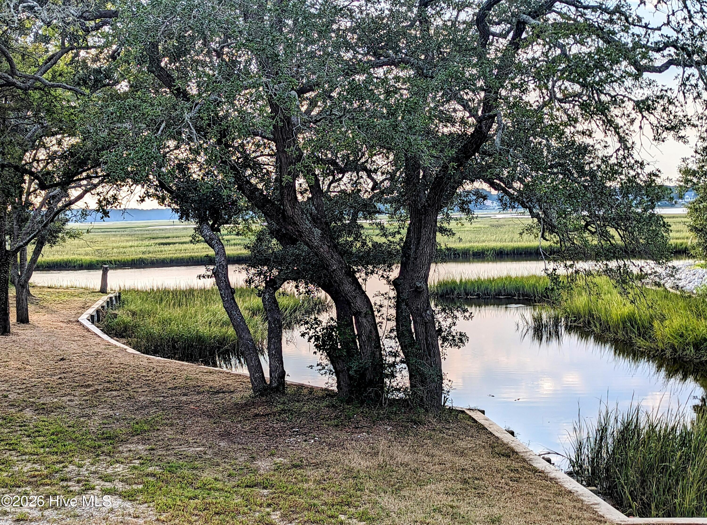 100558750 | Photo 39