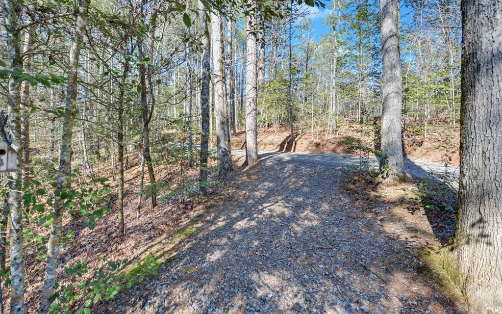 483 Vineyard Creek Way, Murphy, NC 28906 Listing Photo  50