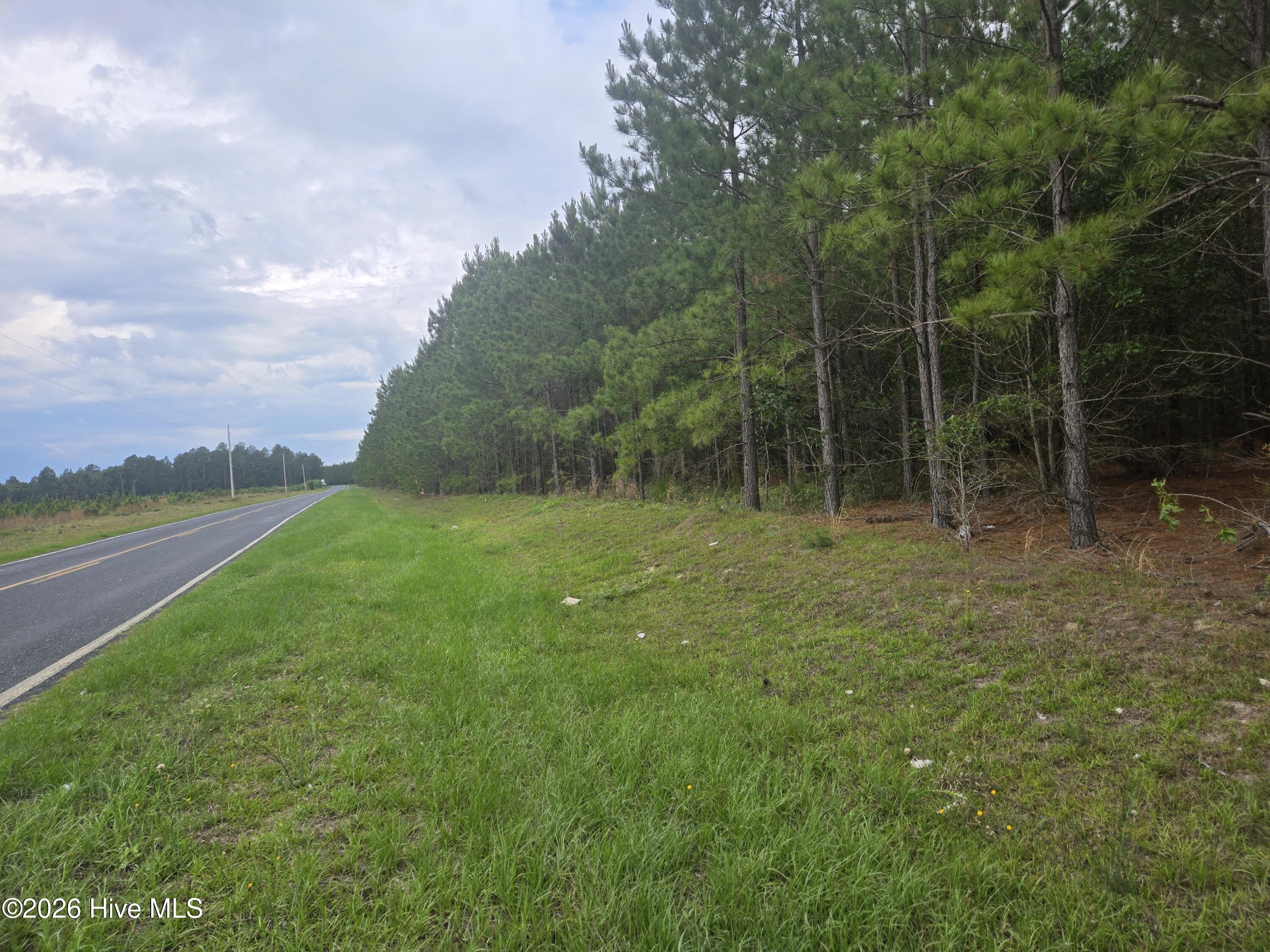 Tract 14 Belford Church Road, Jackson Springs, NC 27281 Listing Photo  4