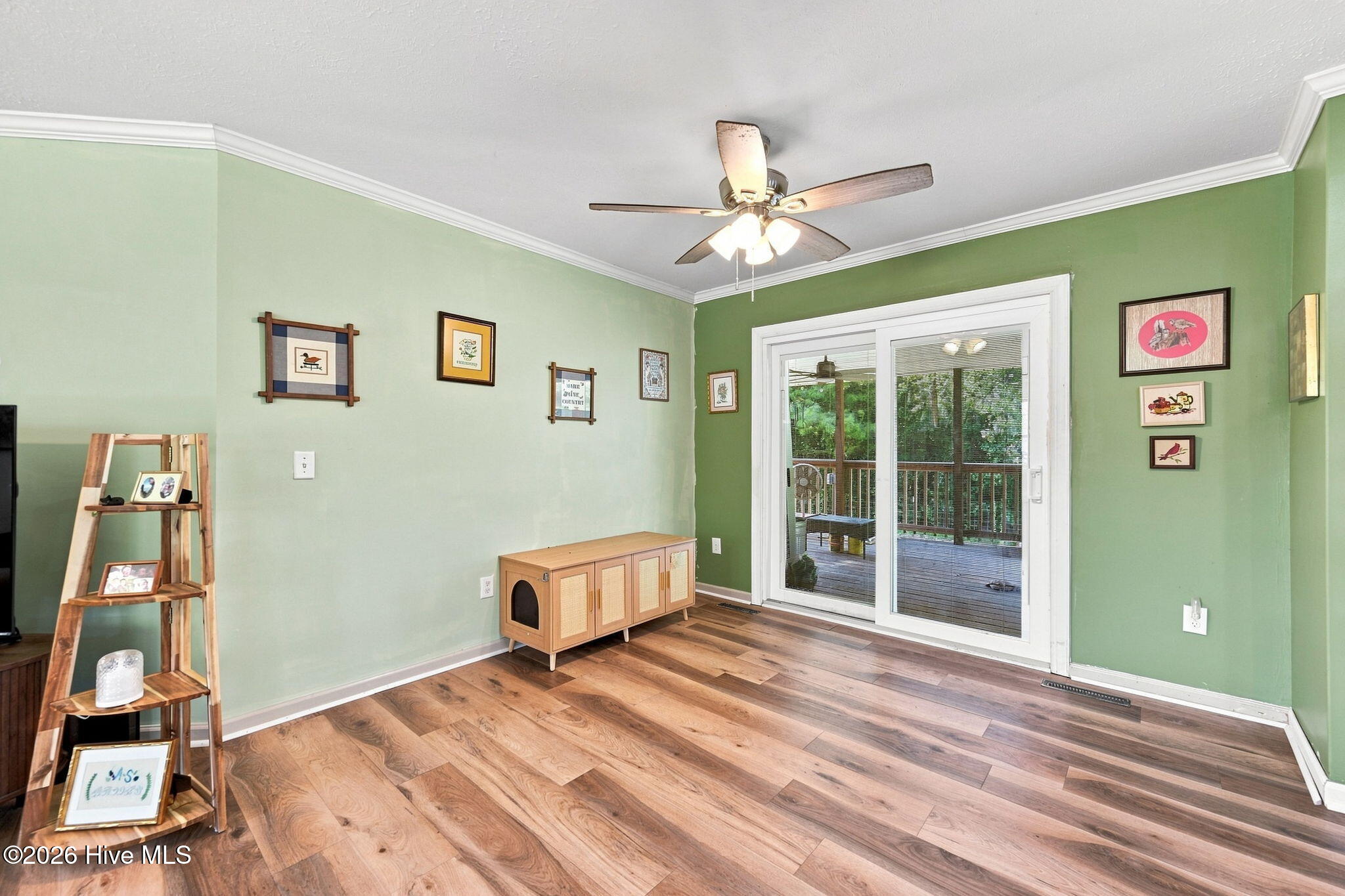 111 Bradham Drive,Beulaville