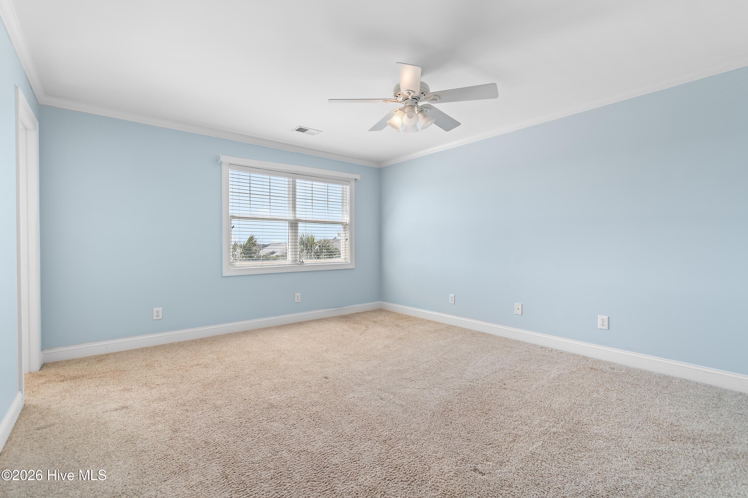 100566574 | Photo 30