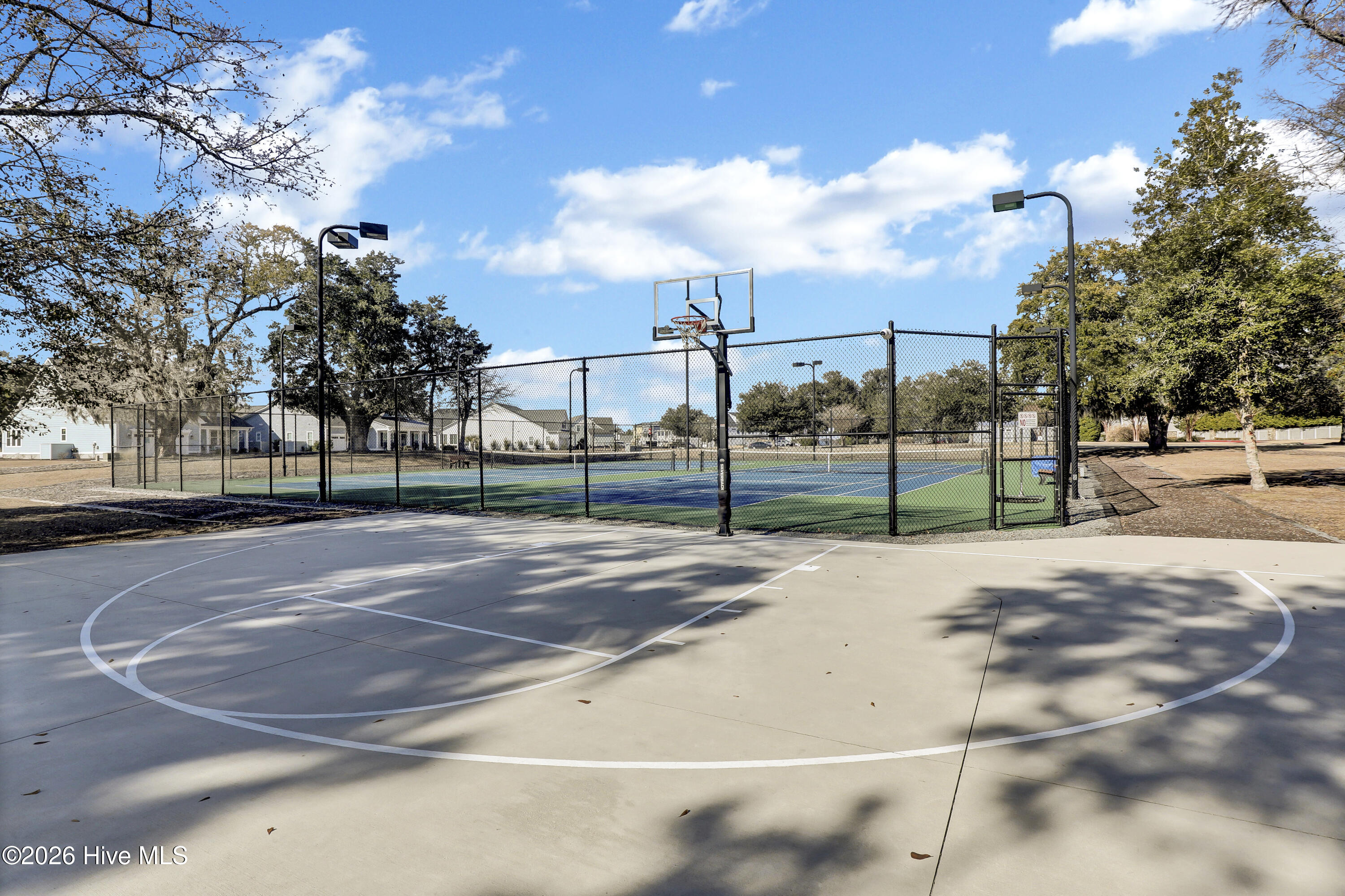 100561723 | Photo 93