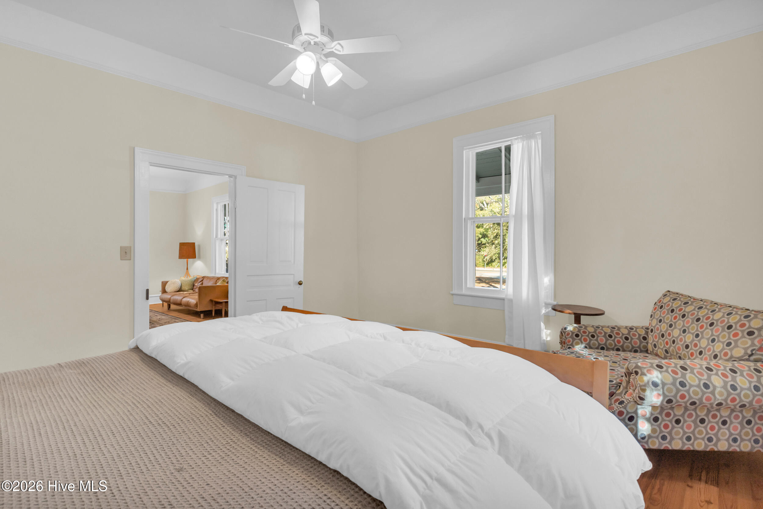 100528129 | Photo 32