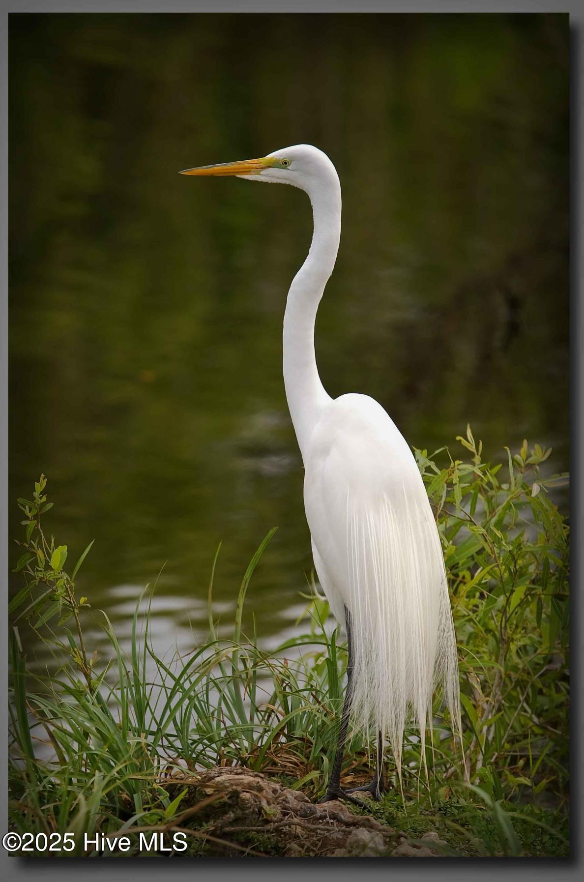 111 Jade Street, Beaufort, NC, 28516