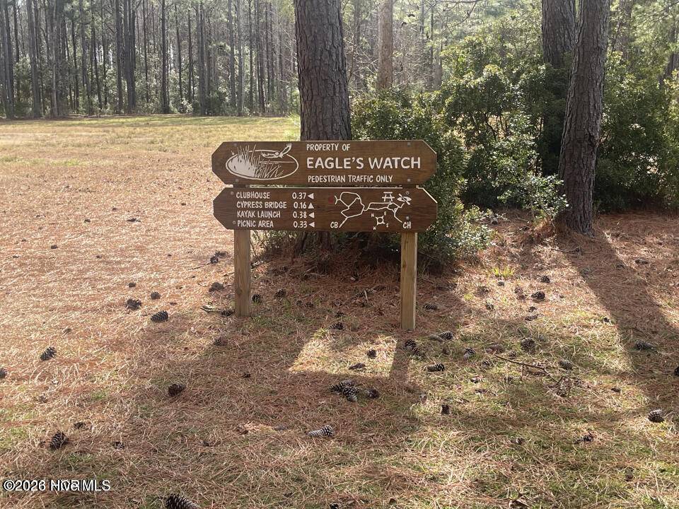 100564868 | Photo 66