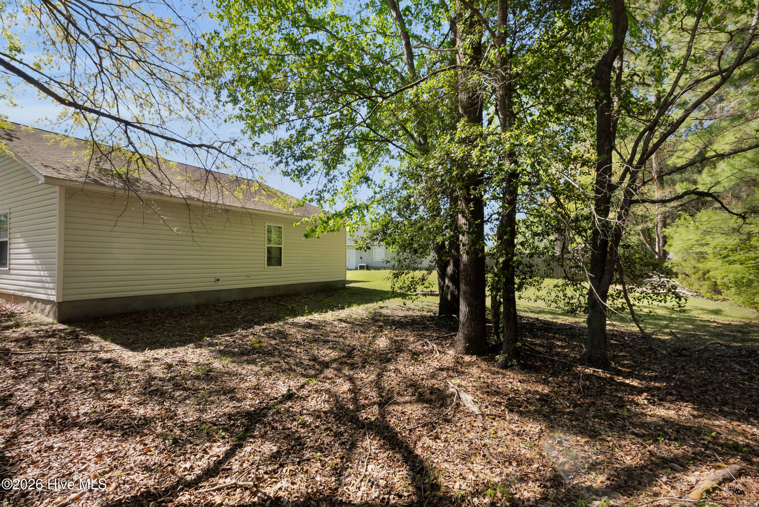 100566556 | Photo 24