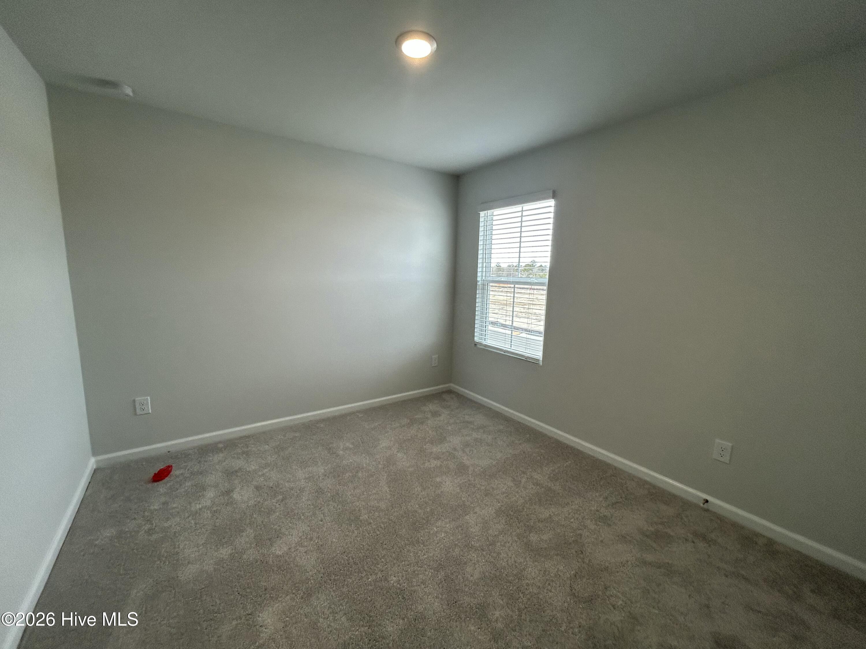 100548102 | Photo 12