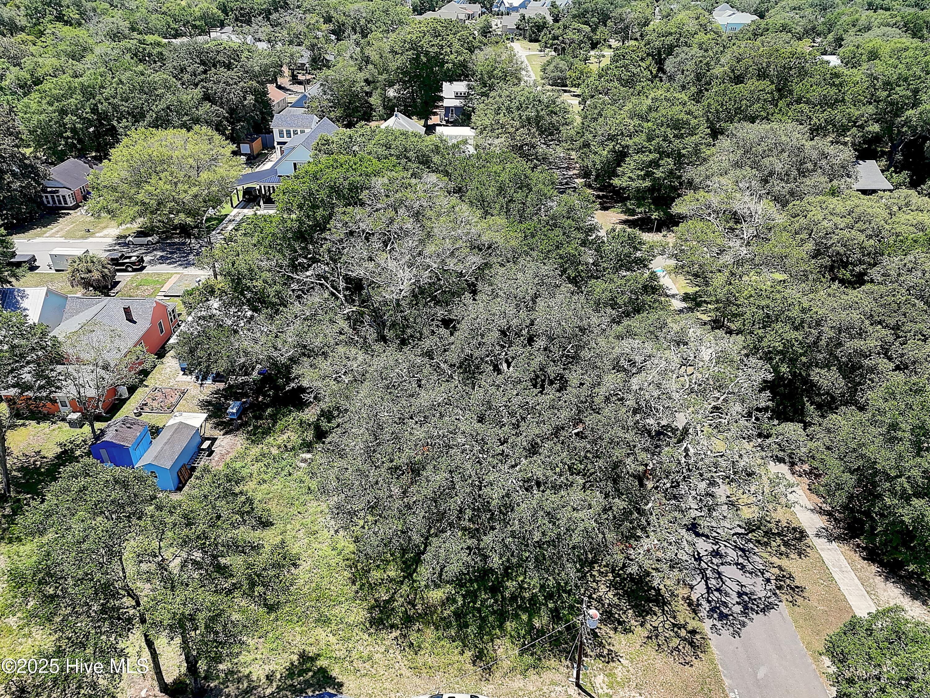 100521668 | Photo 11