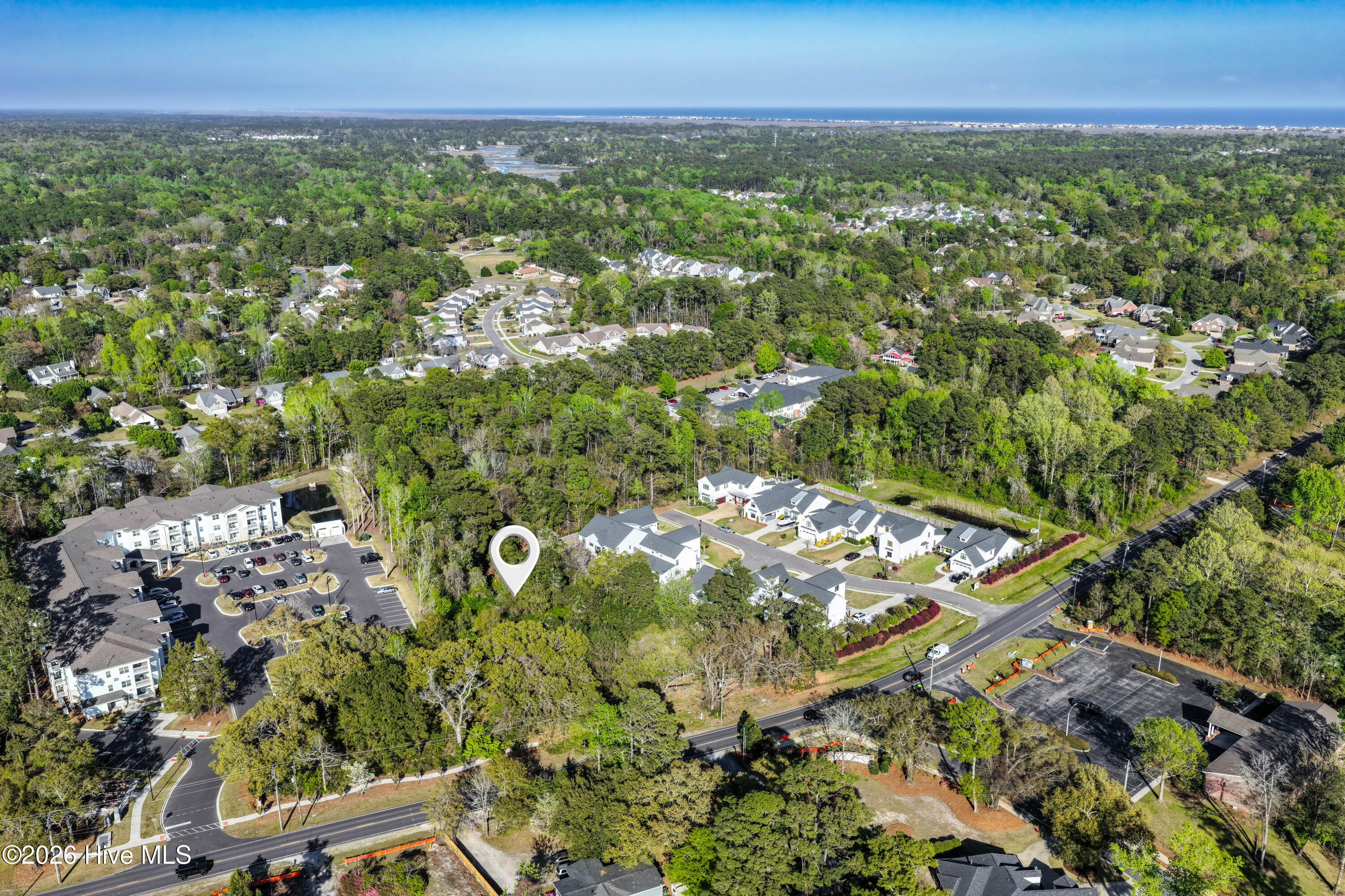 100565879 | Photo 10