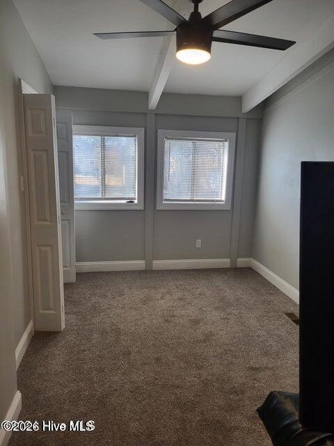 100553497 | Photo 37