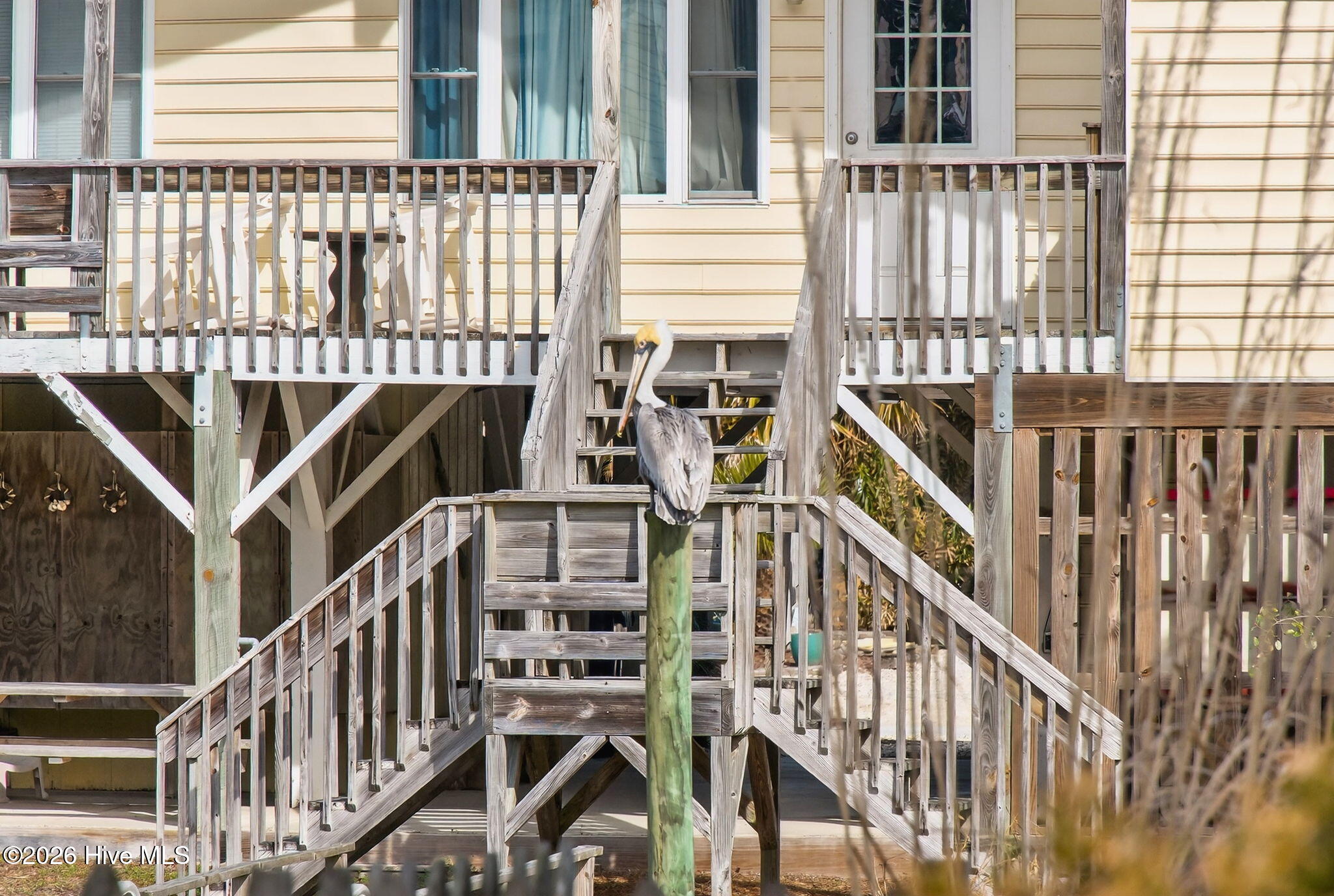 100556998 | Photo 39