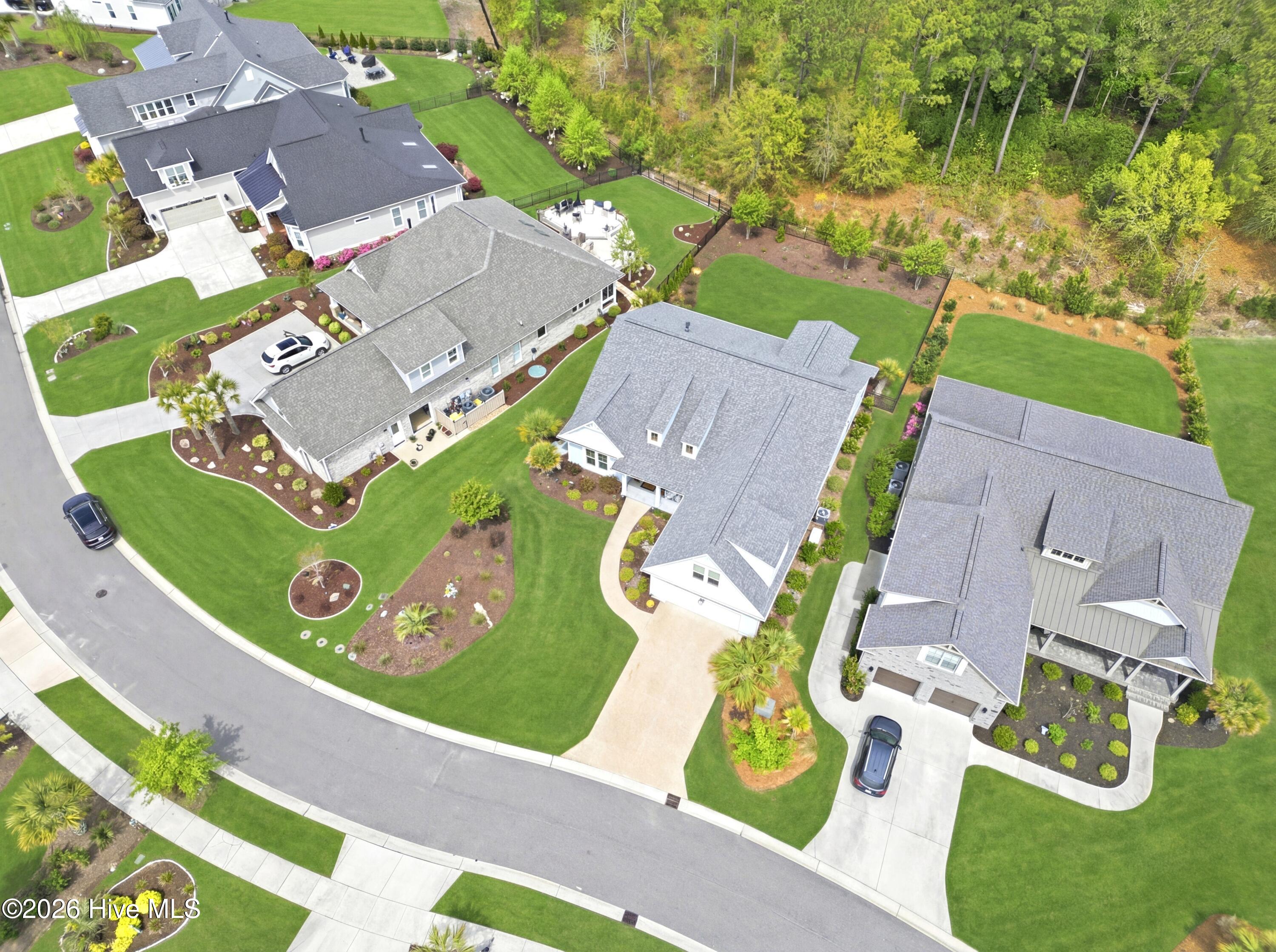 100566081 | Photo 55