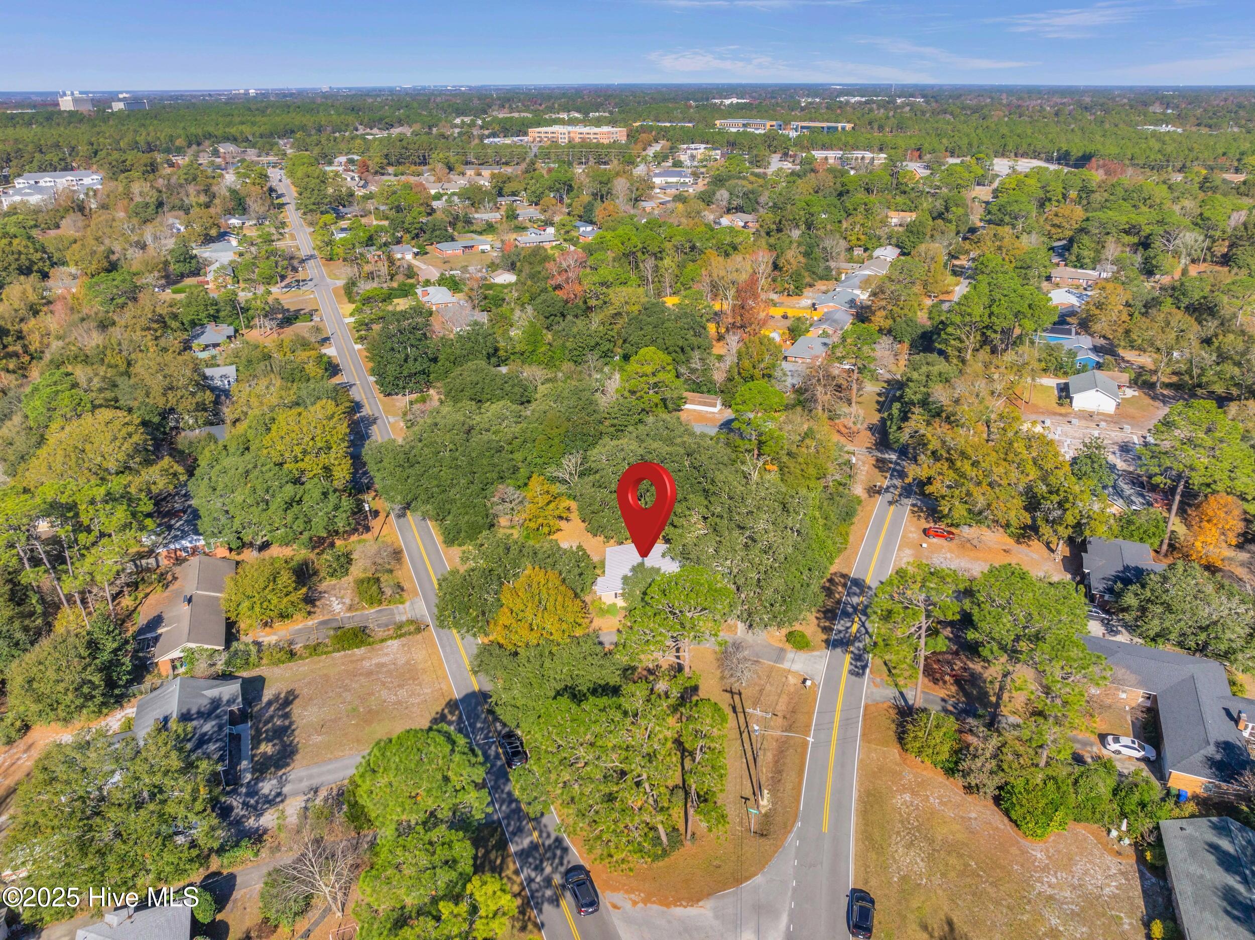 100532133 | Photo 49