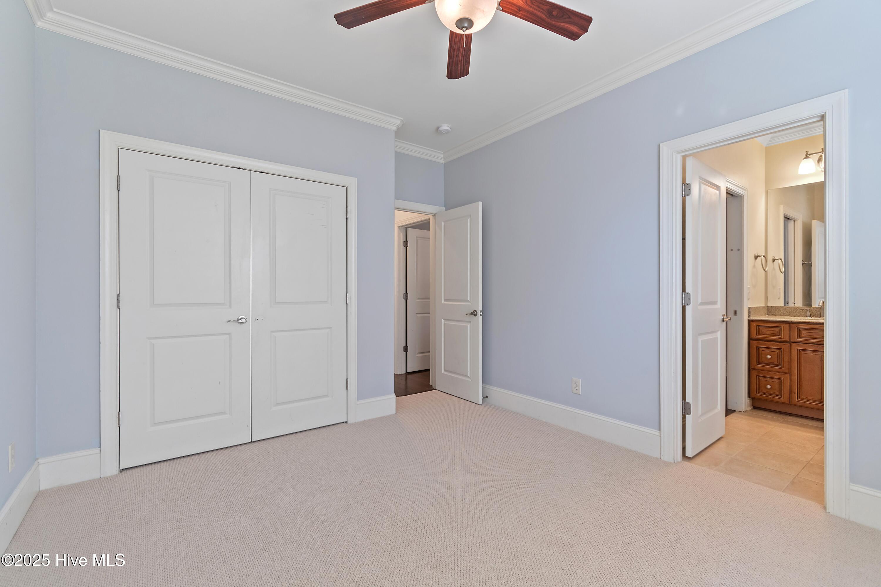 100540174 | Photo 24