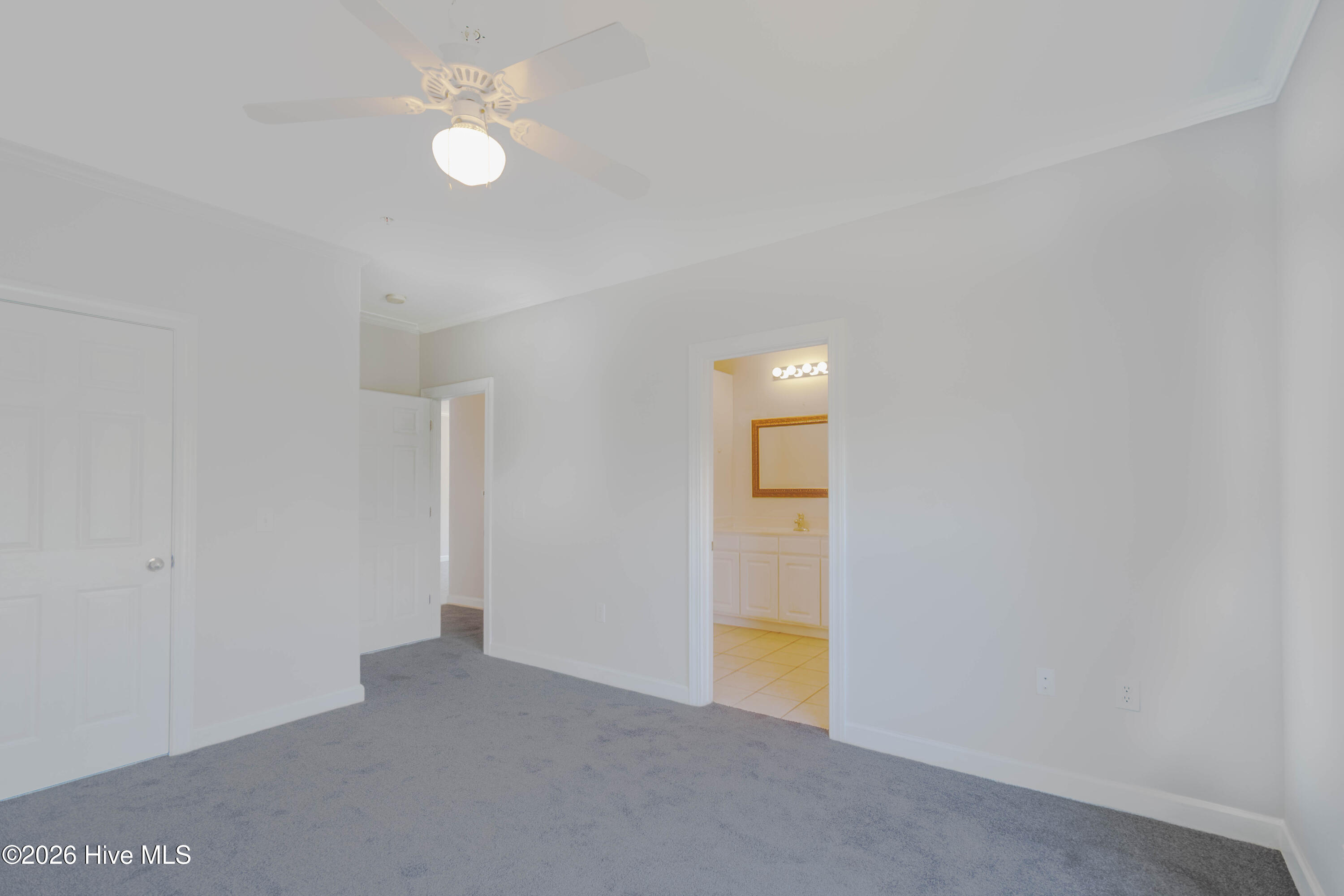 100566741 | Photo 42