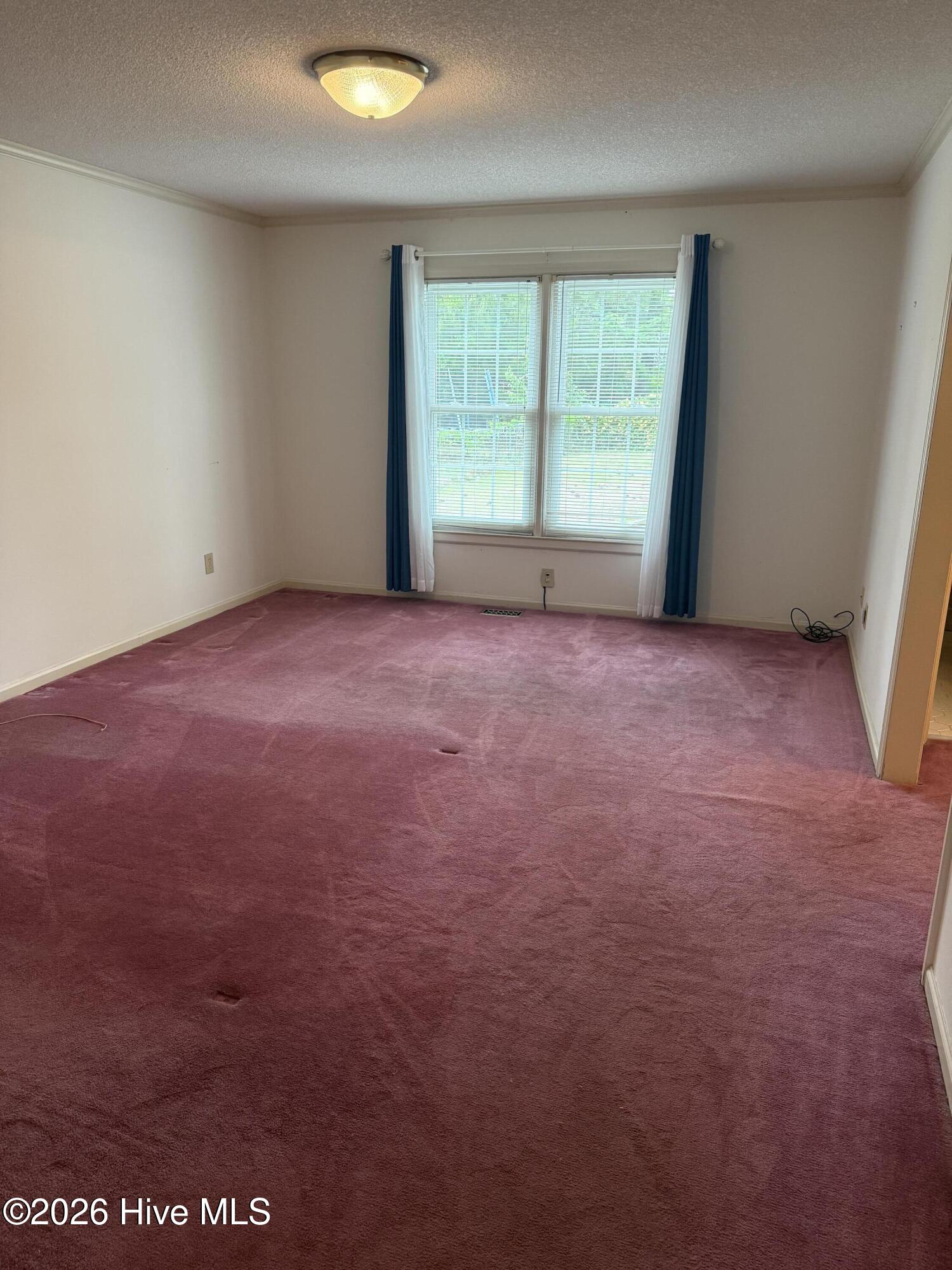 100570594 | Photo 27