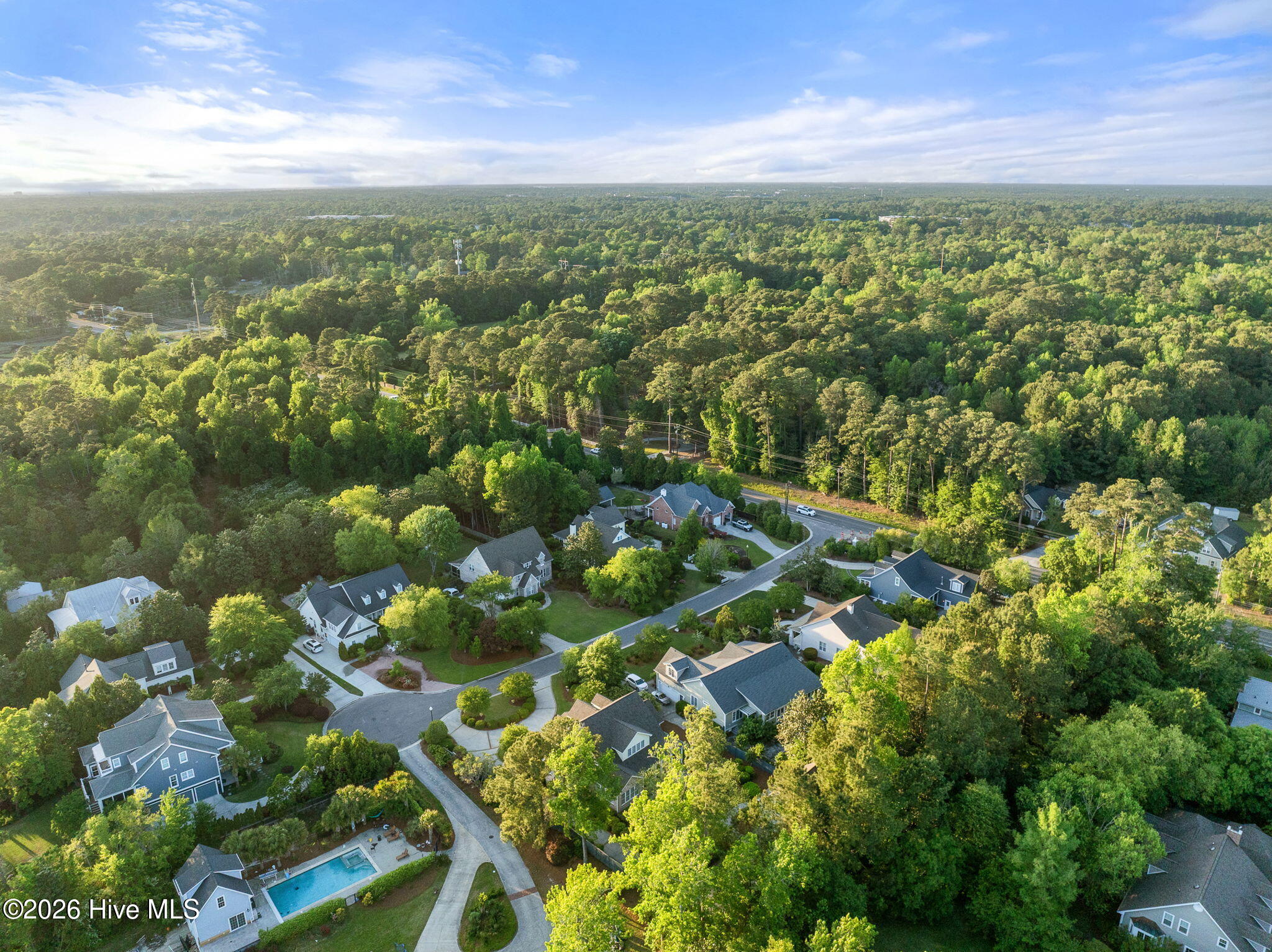 100570394 | Photo 99