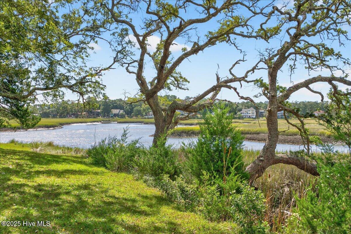 100536911 | Photo 43