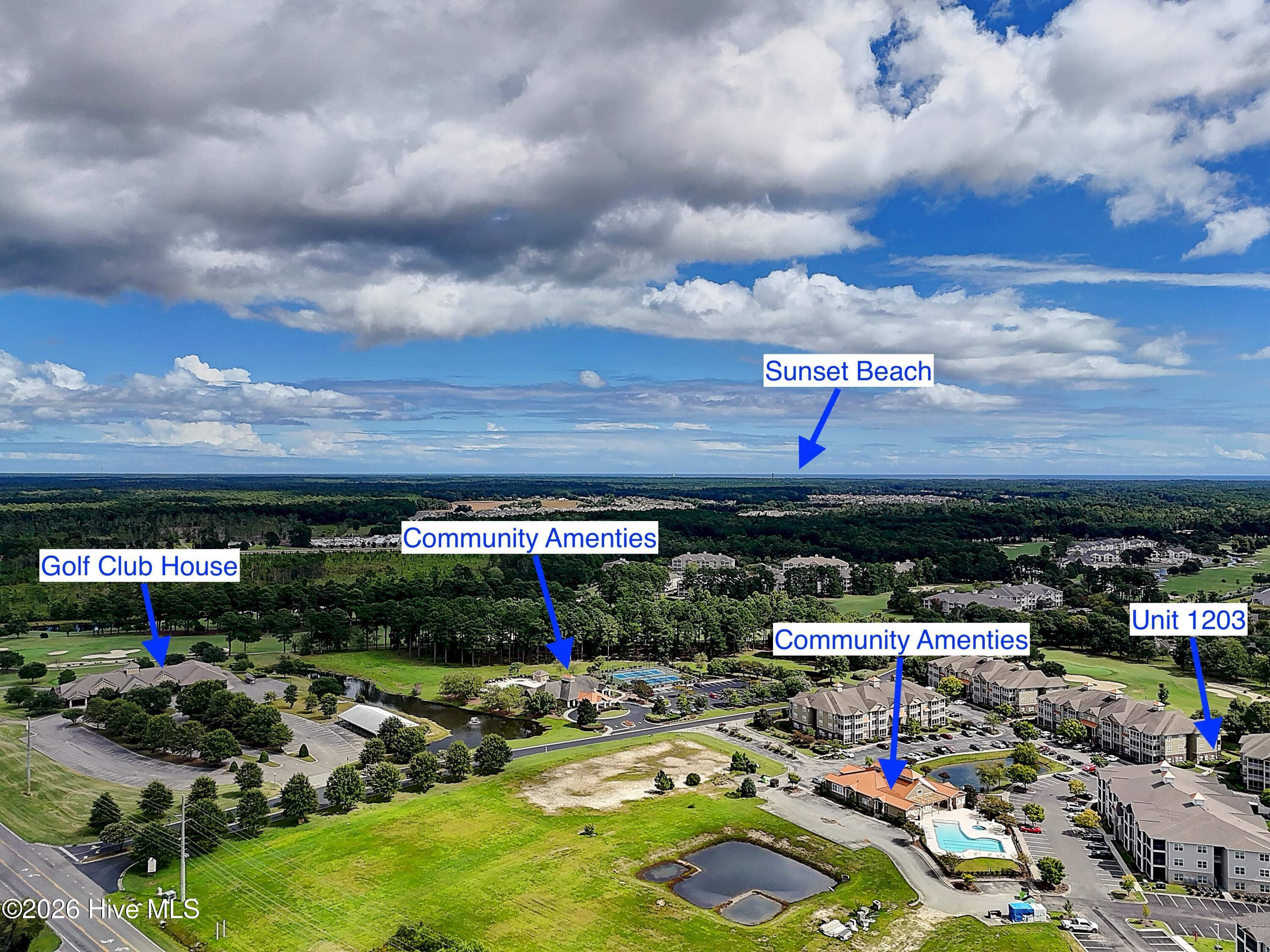 100569684 | Photo 43