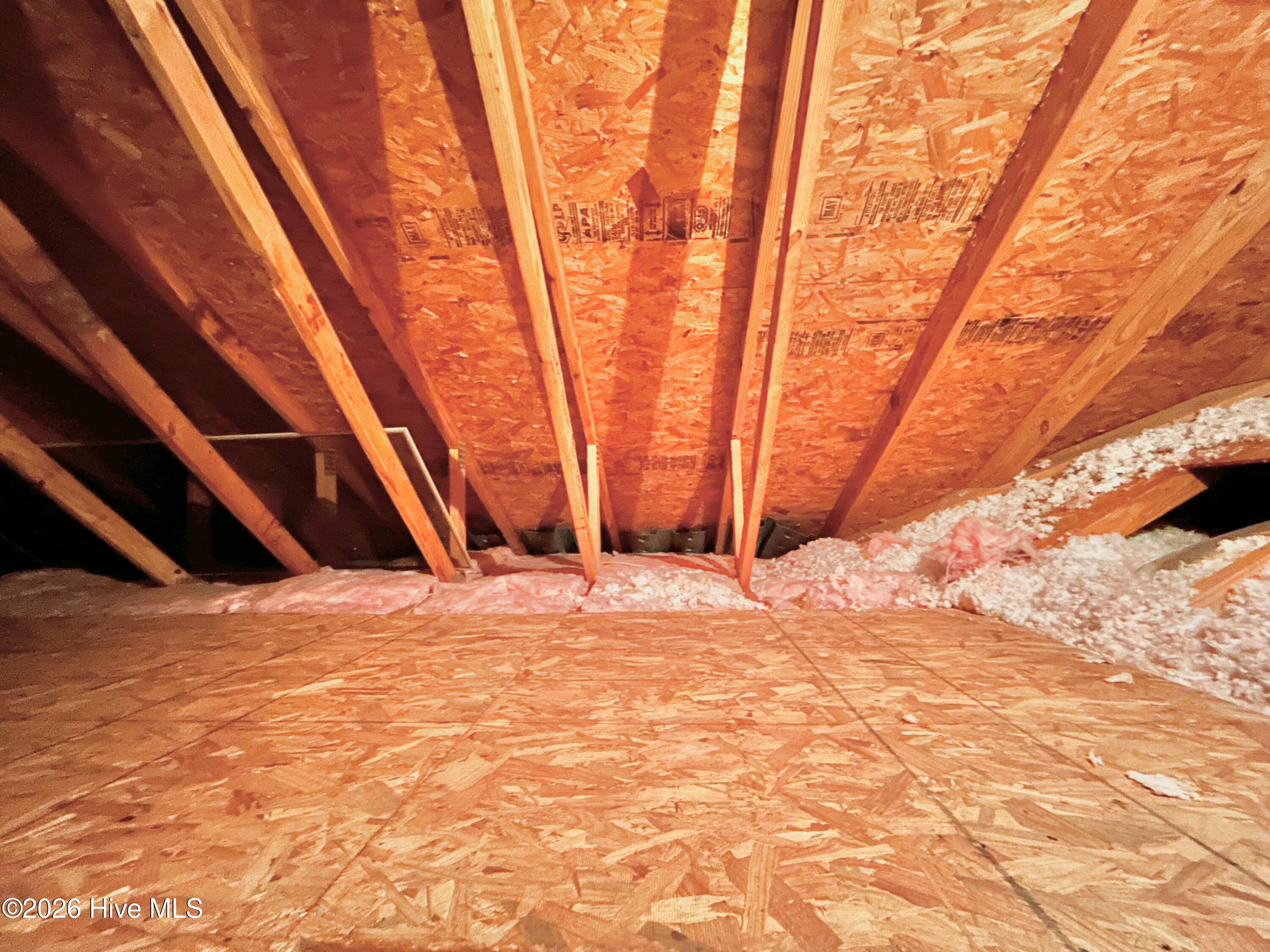 100542918 | Photo 57