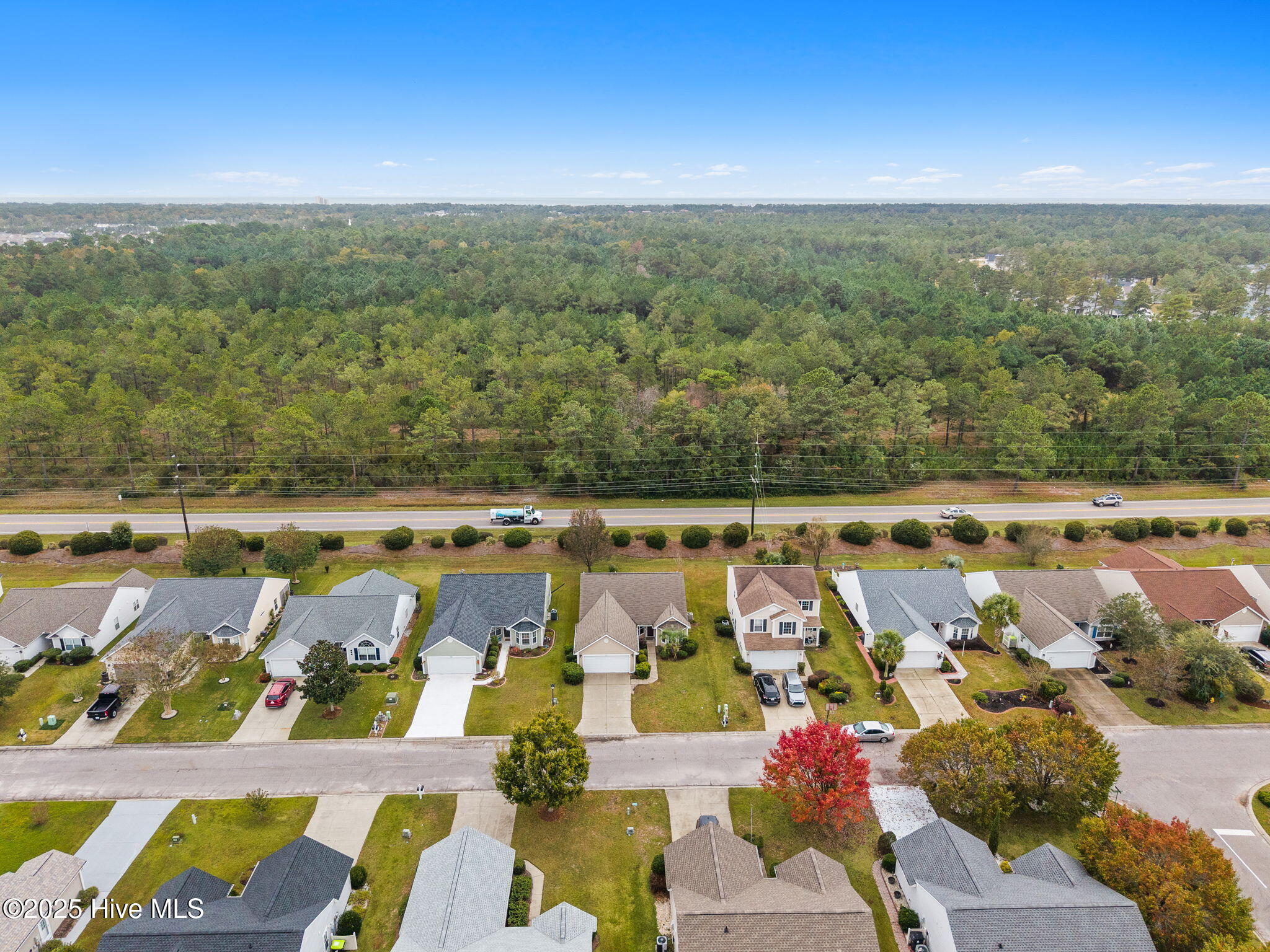 100536152 | Photo 45