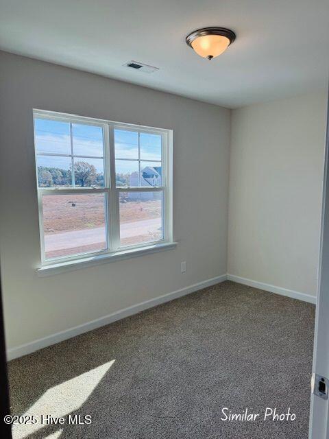 100511917 | Photo 19