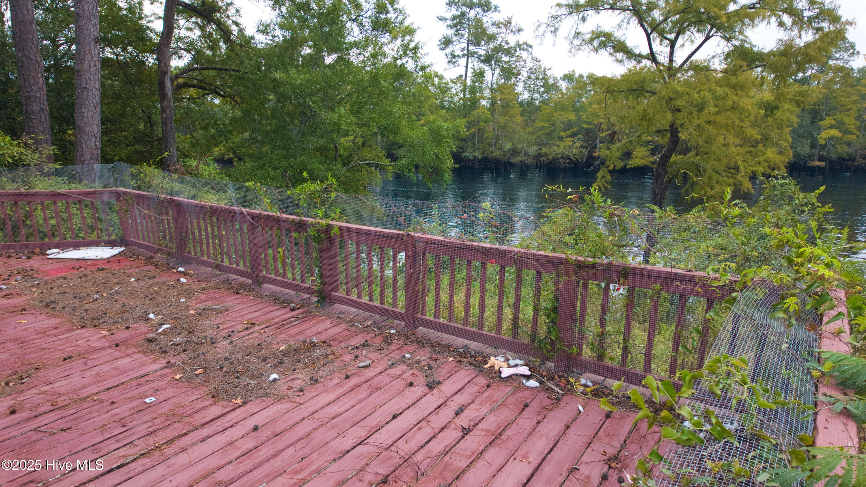 100529448 | Photo 11