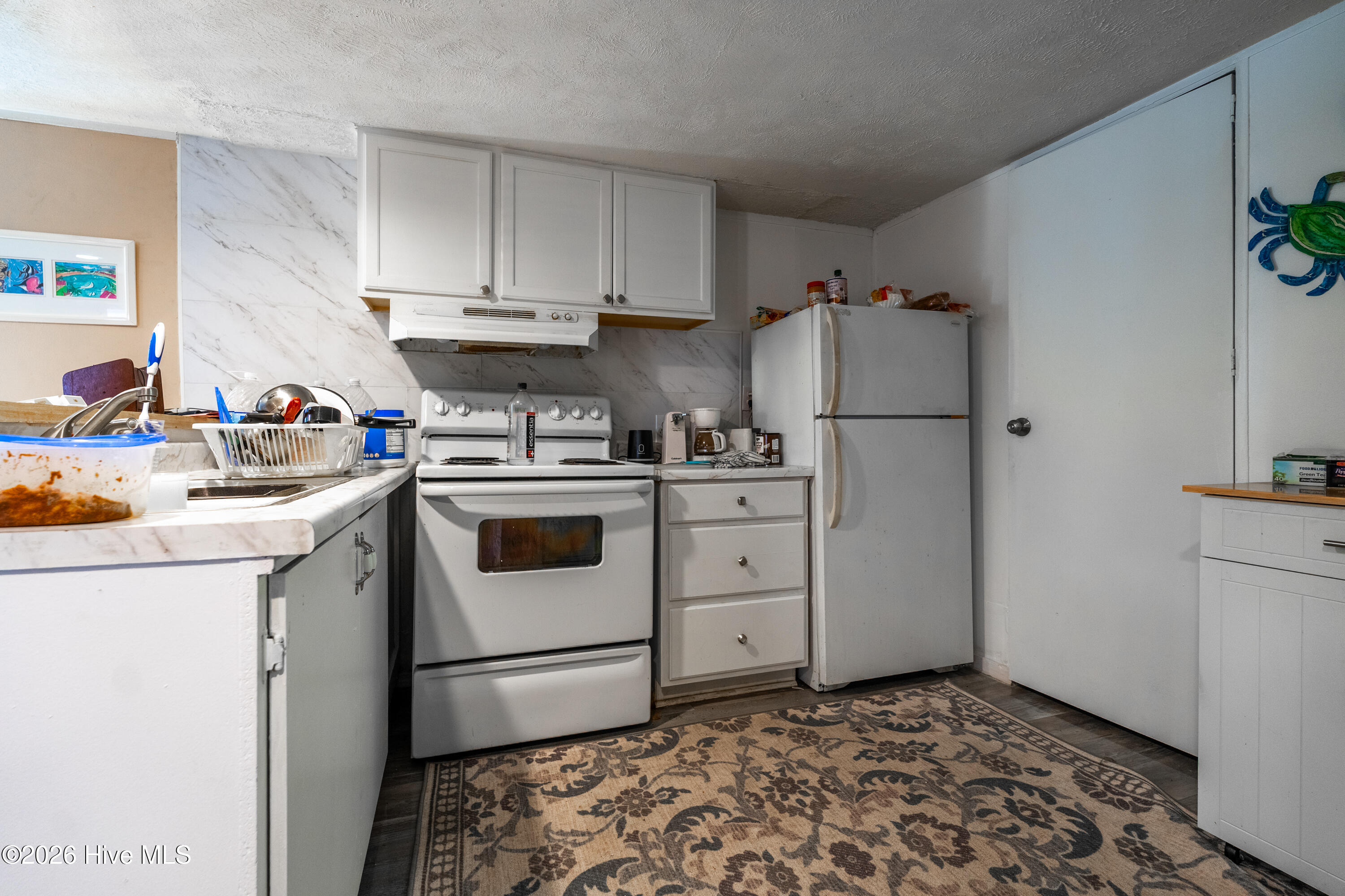 100538170 | Photo 13