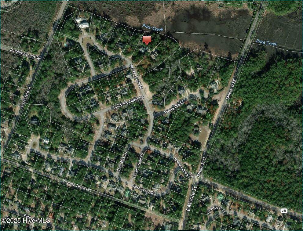 100538166 | Photo 62