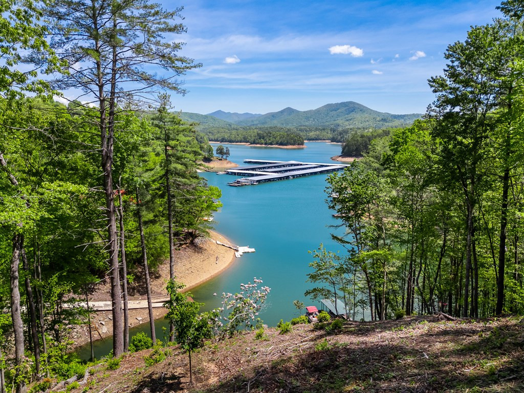 87 Snowbird Lane, Murphy, NC 28906 Listing Photo  2
