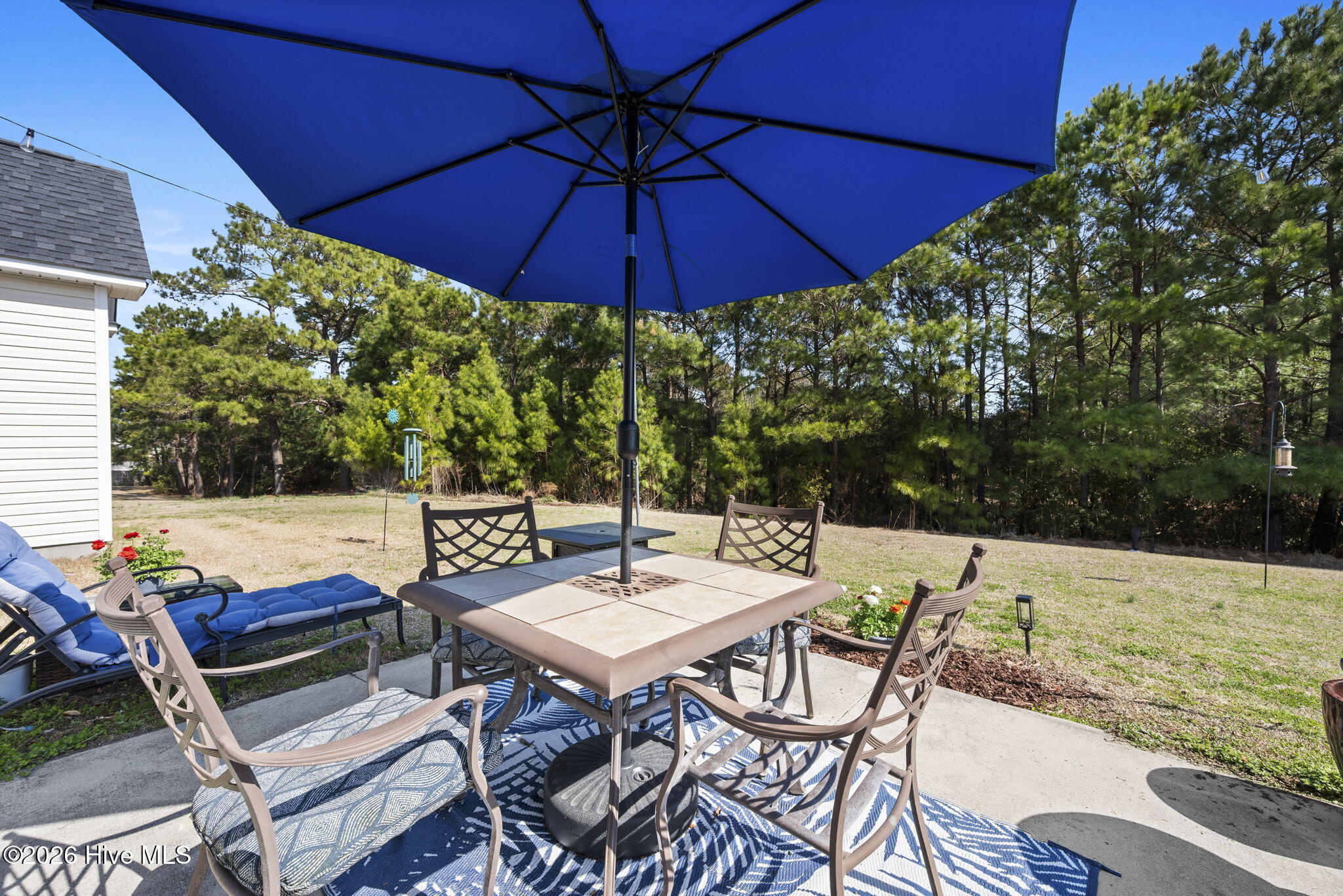 100558397 | Photo 37