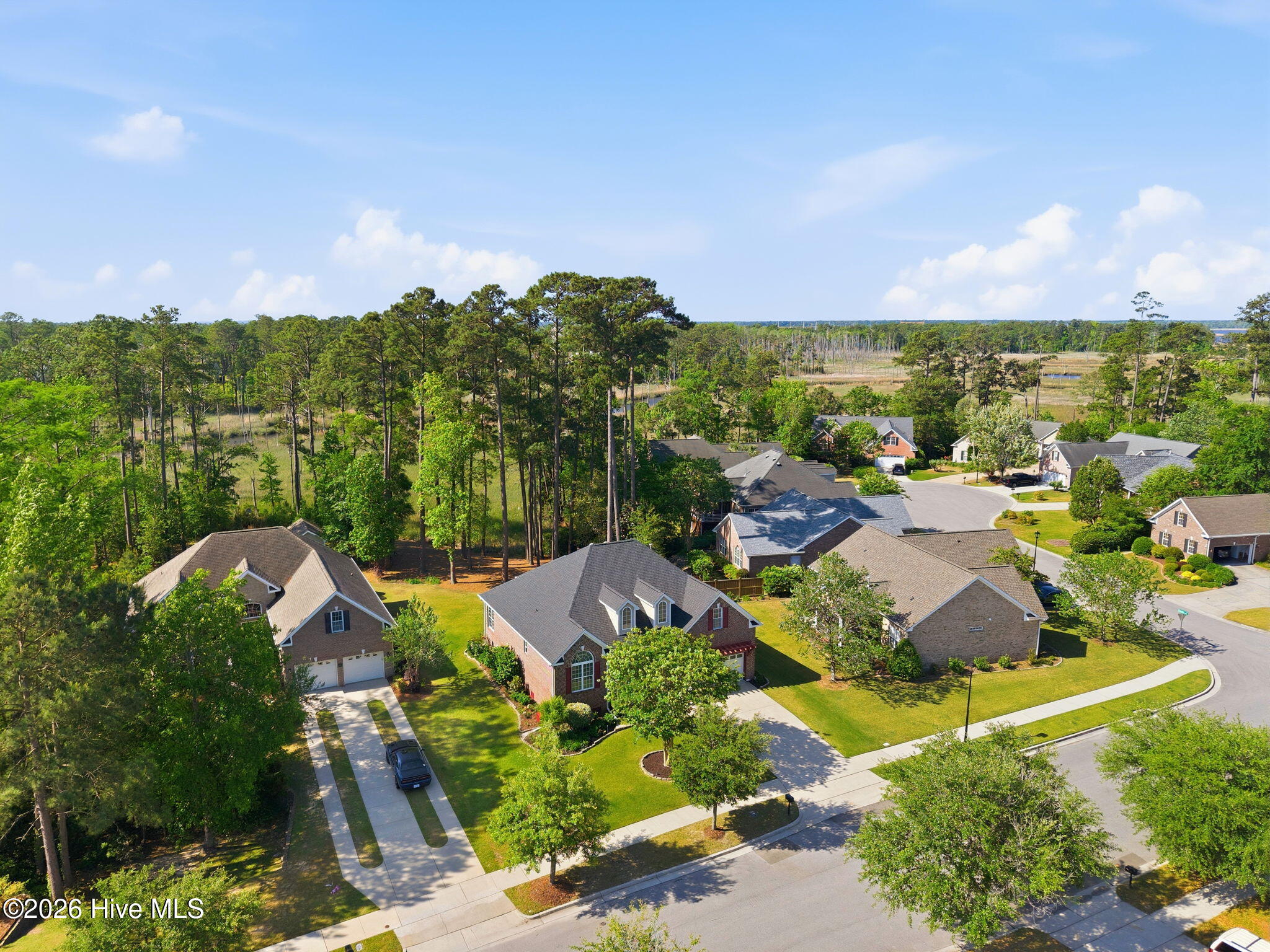 100569410 | Photo 32