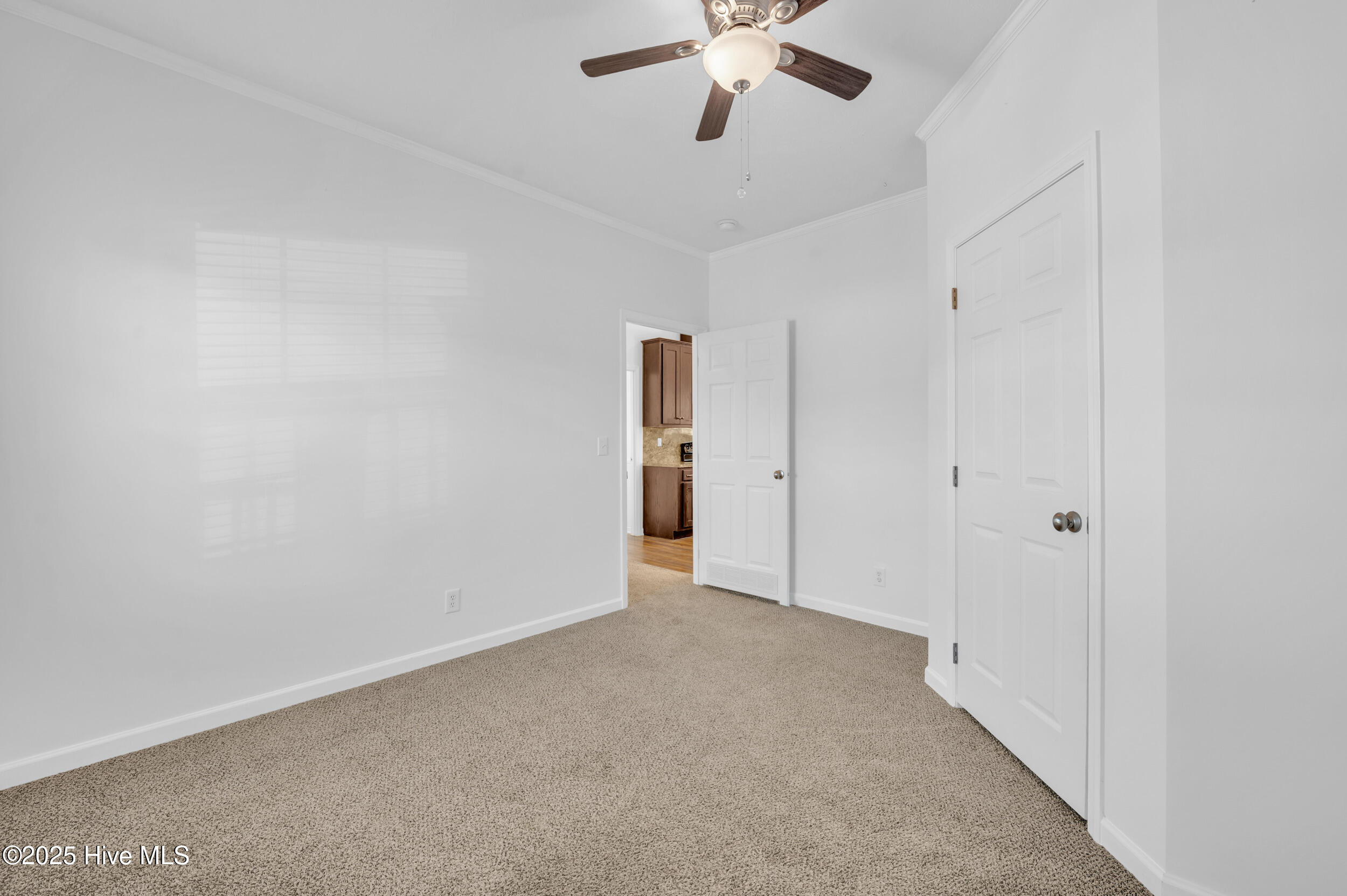 100539826 | Photo 23