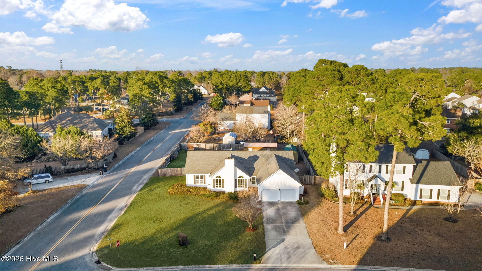 100548117 | Photo 48