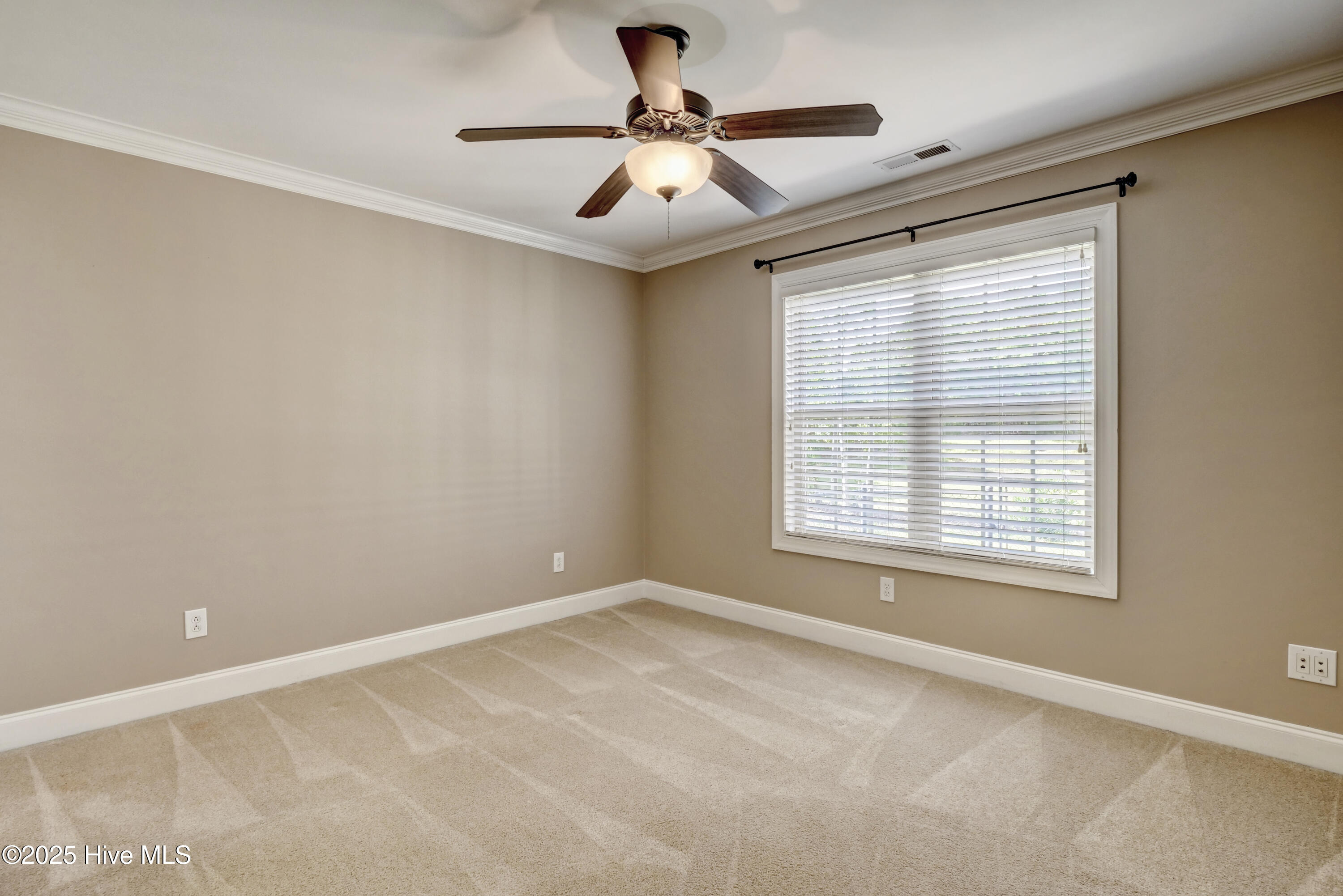 100539909 | Photo 22