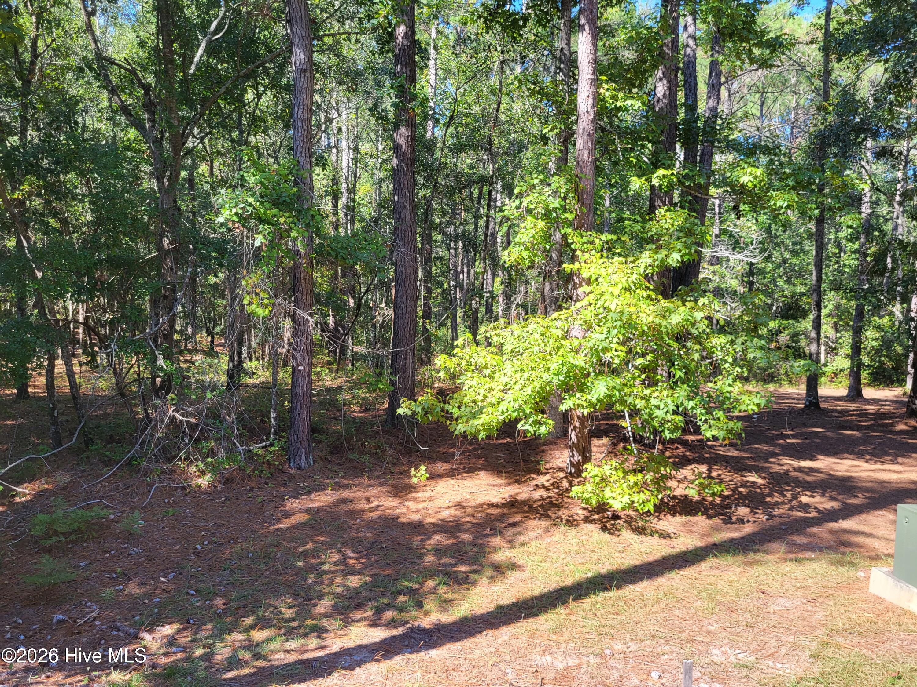 Photo 4 of Single family home for sale at 538 Lindgrove Pl SW, Ocean Isle Beach, NC 28469 | MLS# 100609604 | Listing updated on 2026-10-19