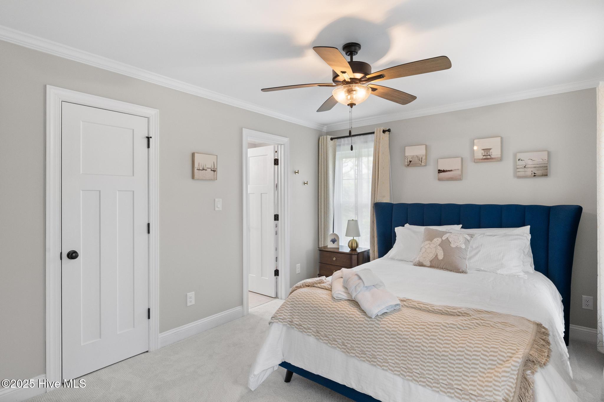 100511238 | Photo 16