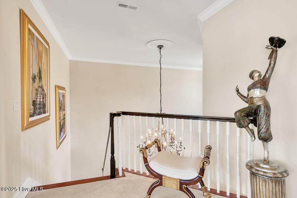 100535984 | Photo 41