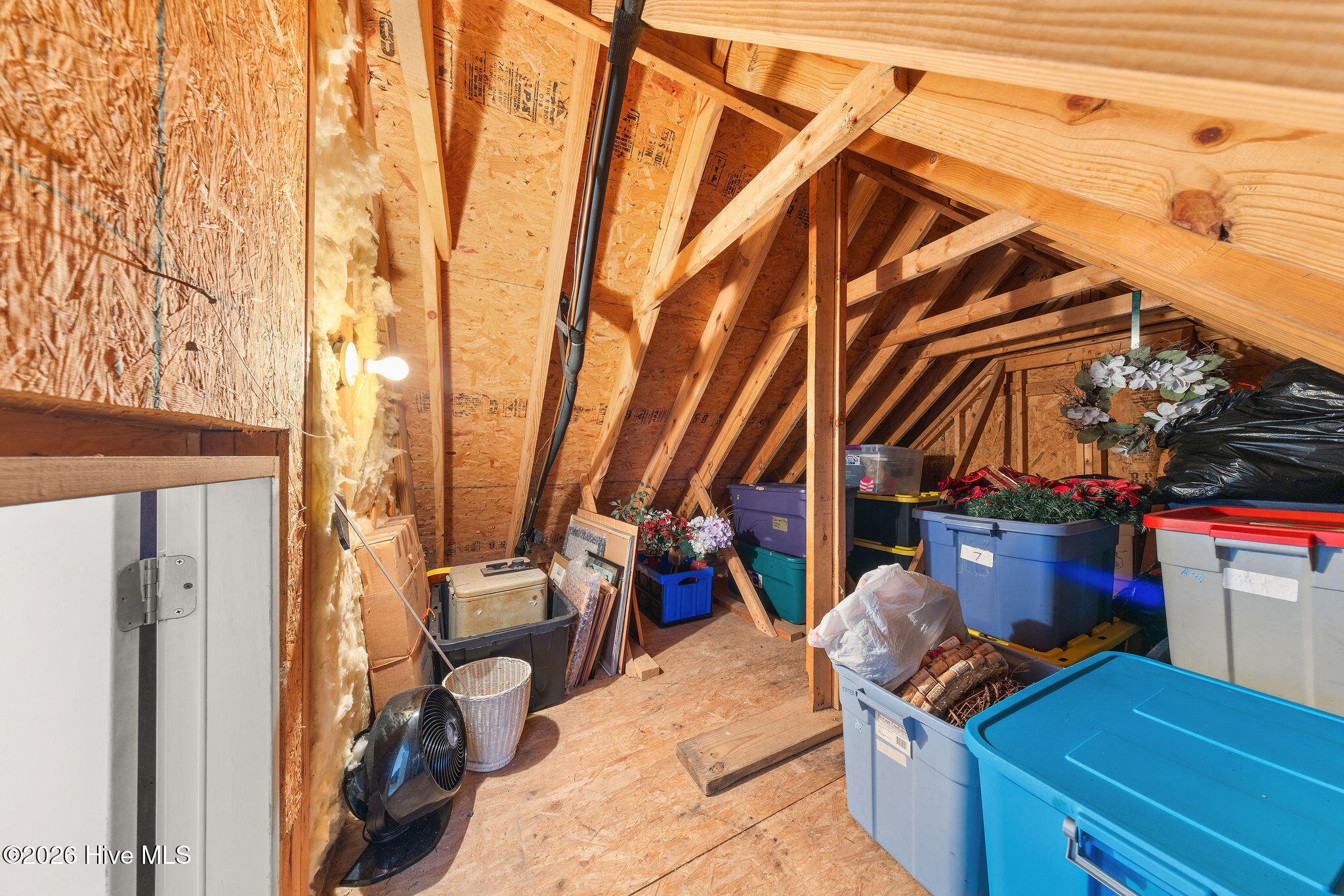 100548095 | Photo 113