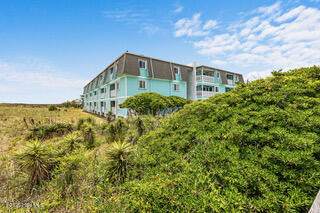 100525169 | Photo 39