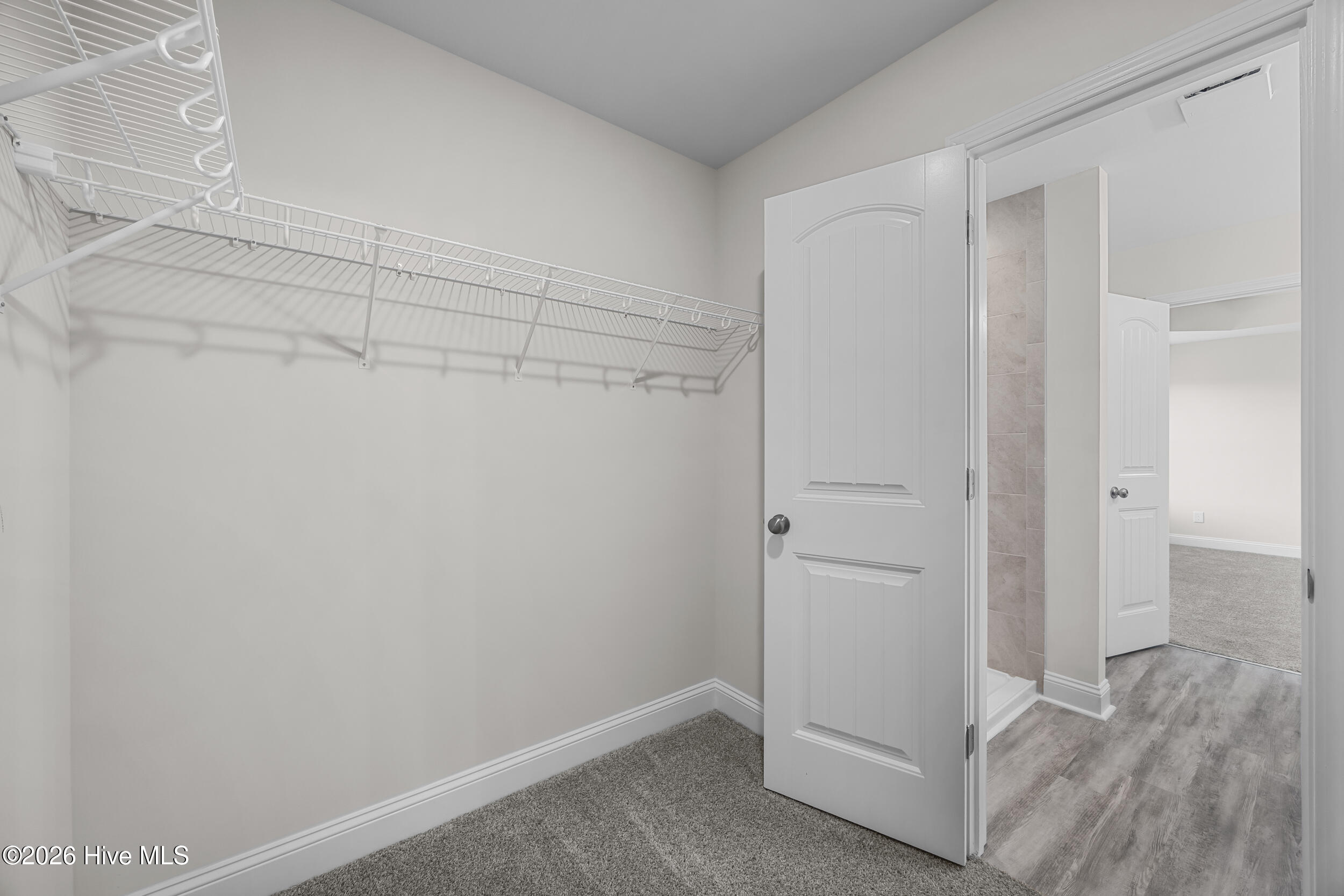 100552403 | Photo 25