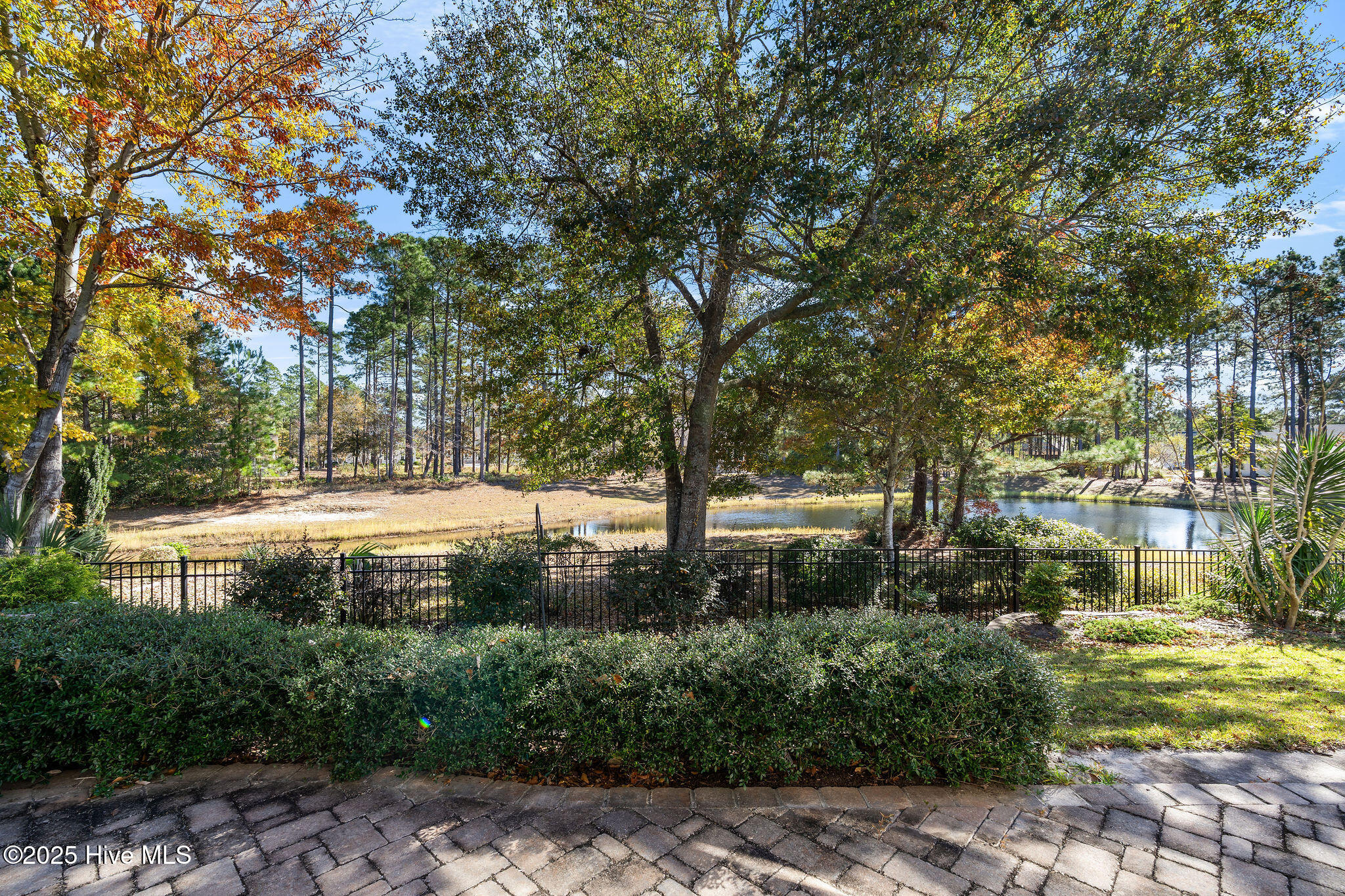 100542530 | Photo 23