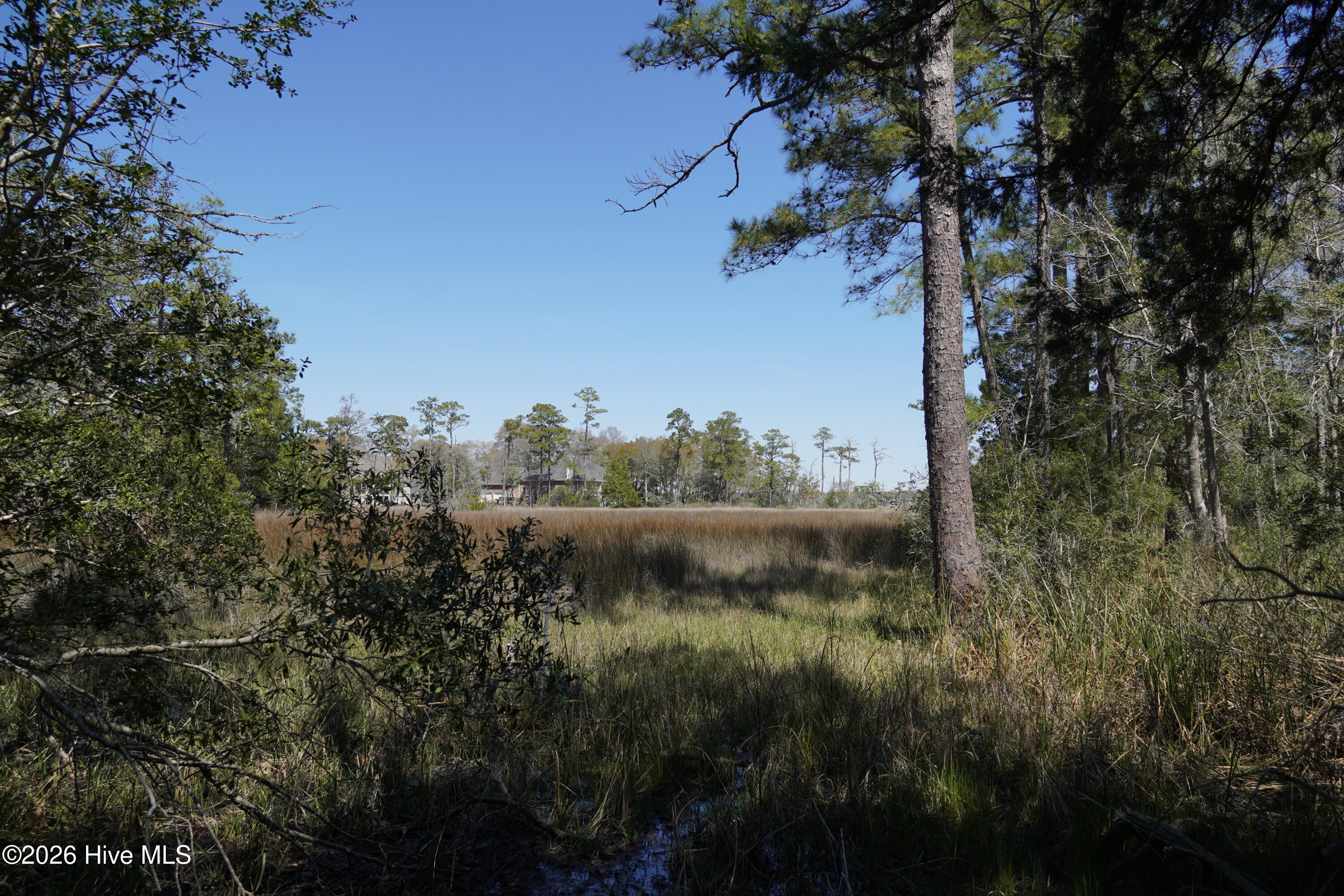 100564752 | Photo 11