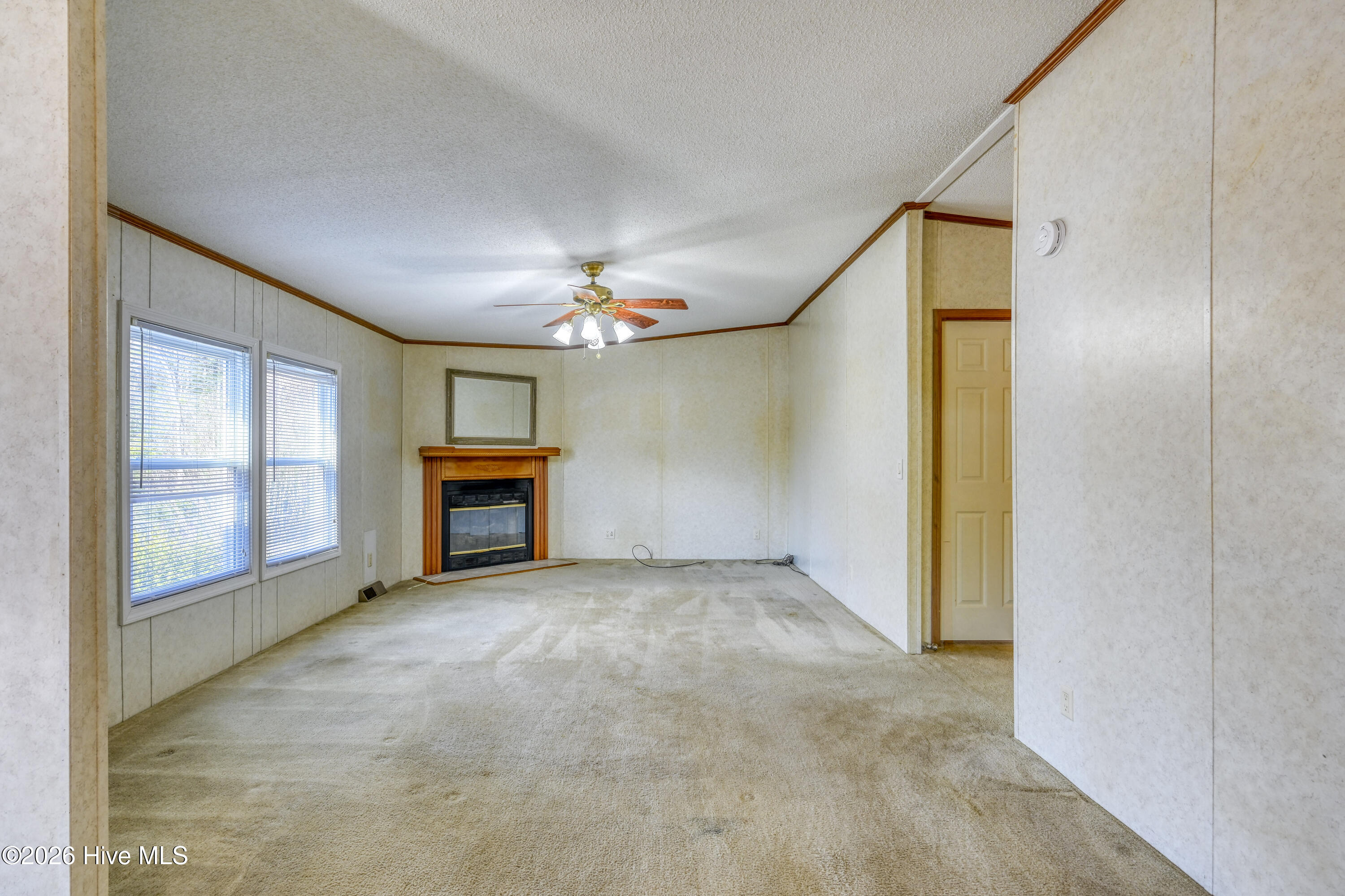 100557580 | Photo 11