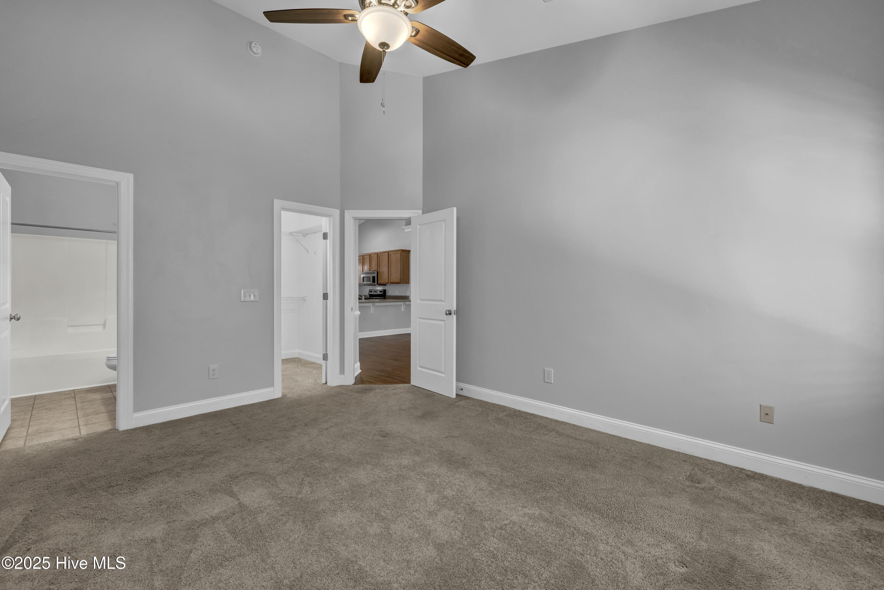 100545653 | Photo 13